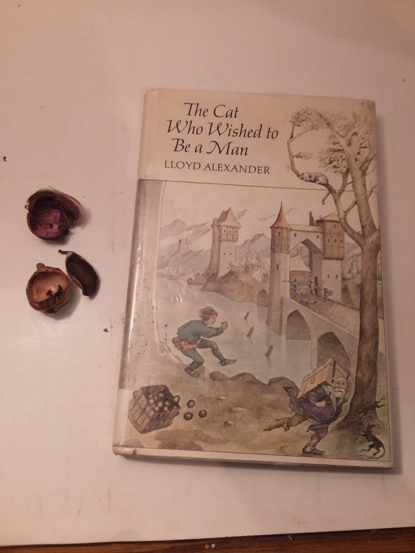 The Cat Who Wished to Be a Man