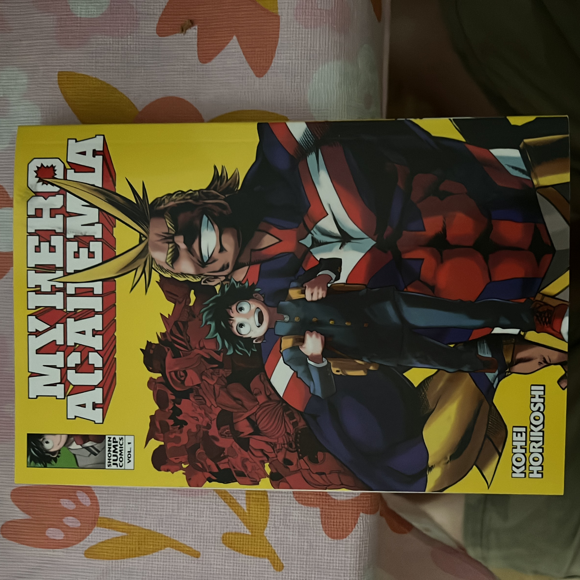 My Hero Academia, Vol. 1
