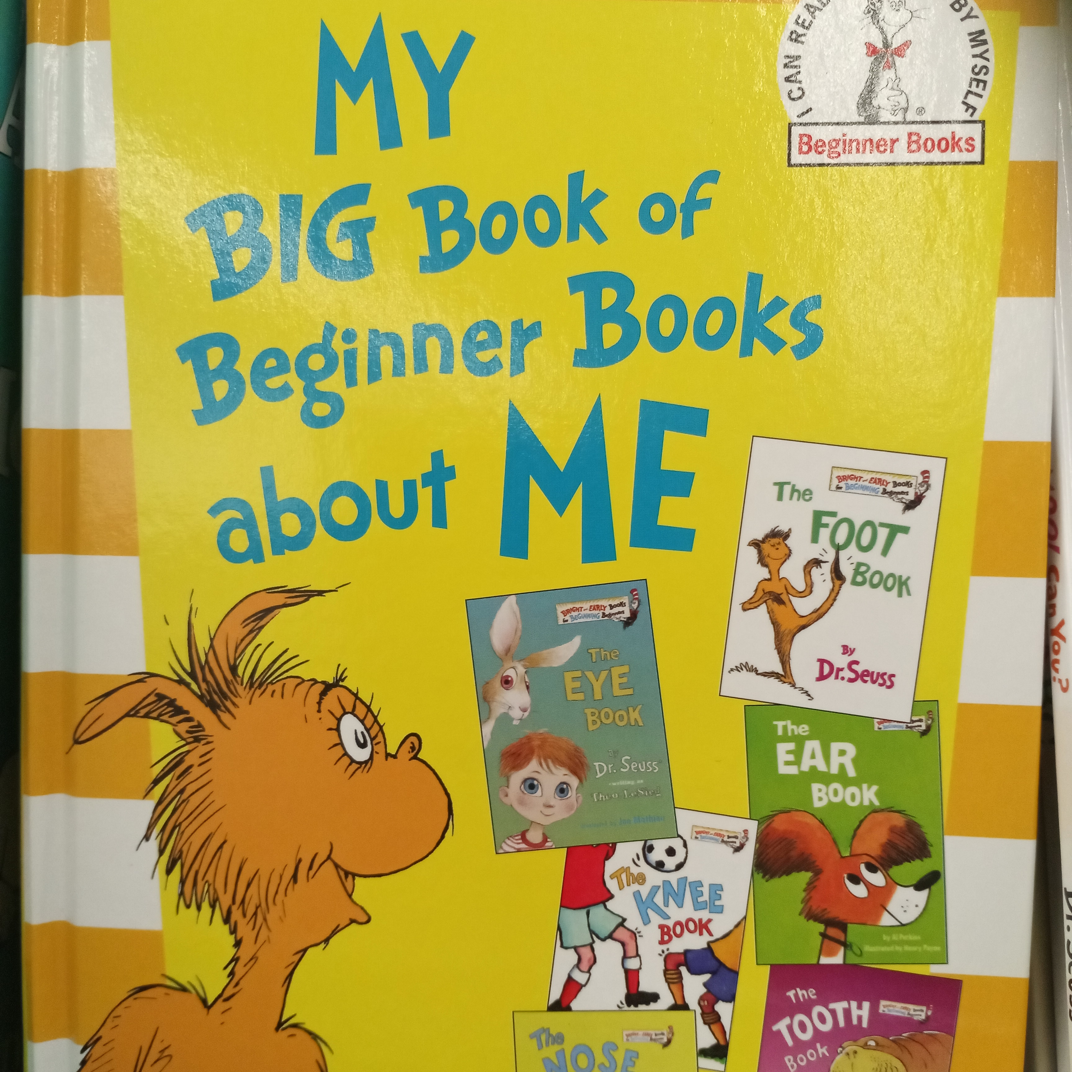 My Big Book of Beginner Books about Me