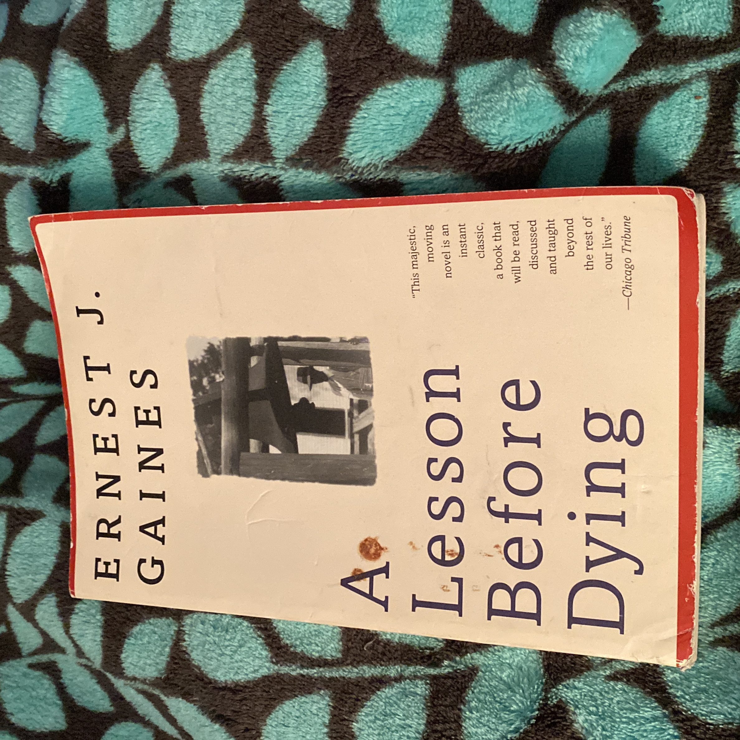 A Lesson Before Dying