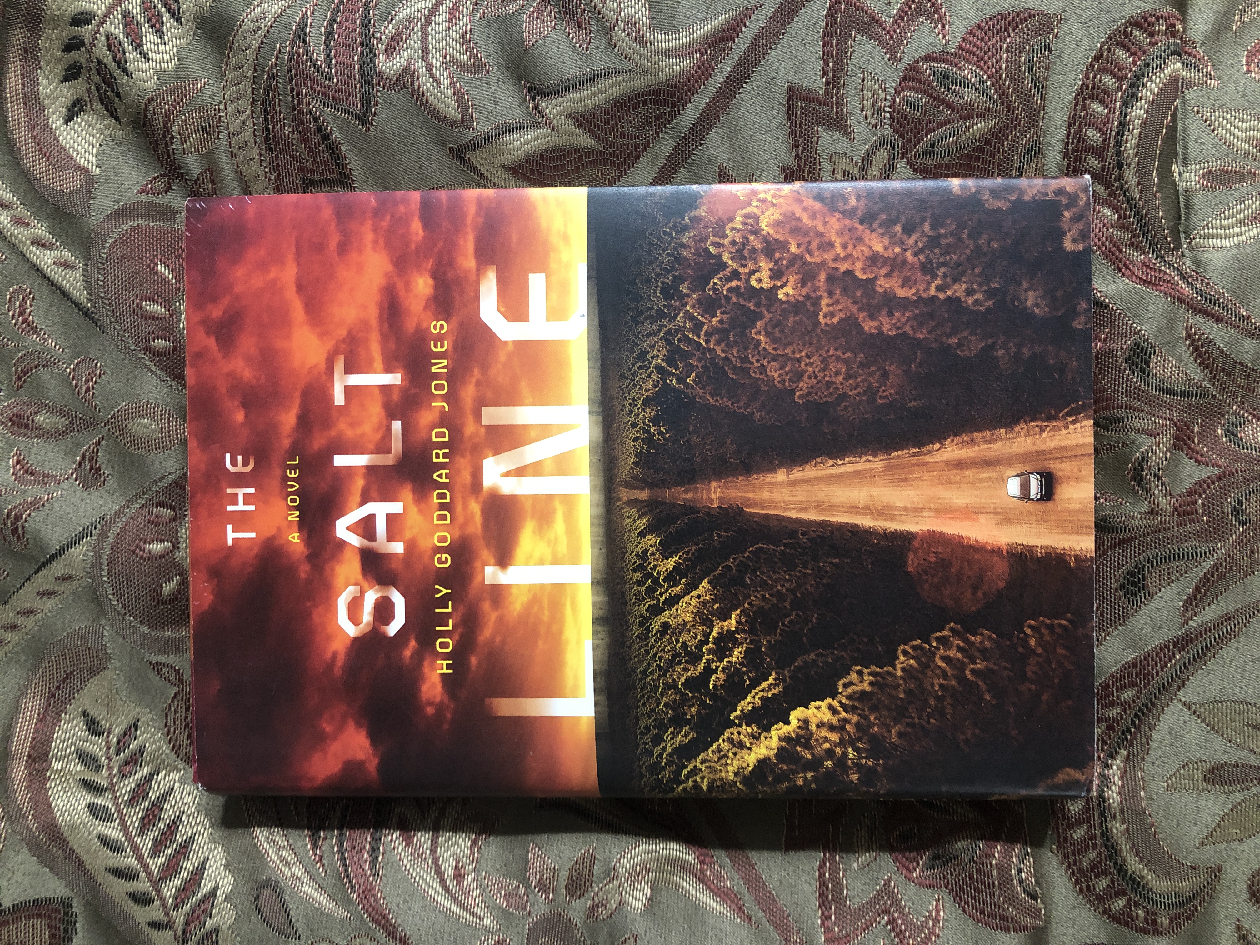 The Salt Line