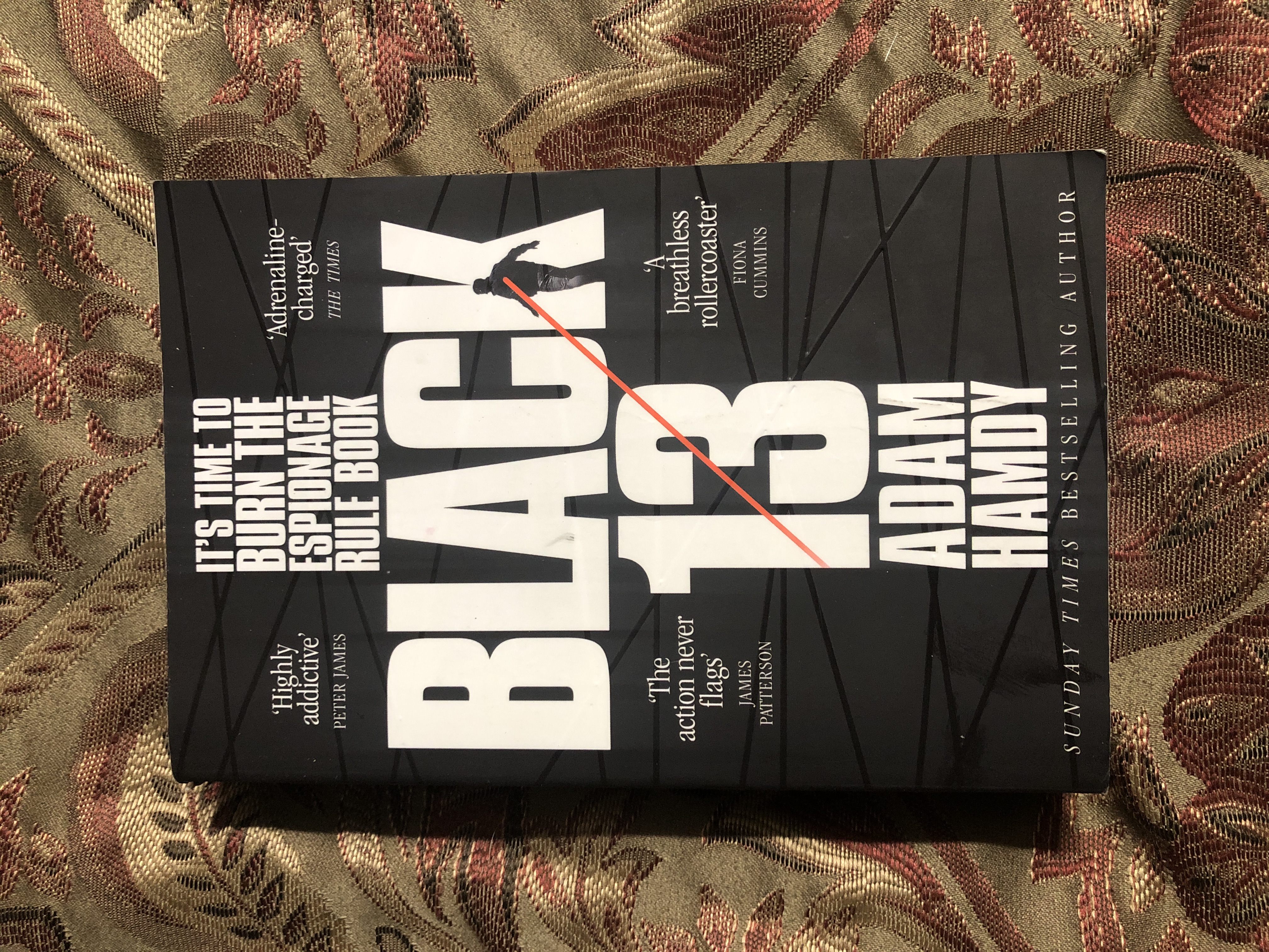 Black 13: a Scott Pearce Novel 1