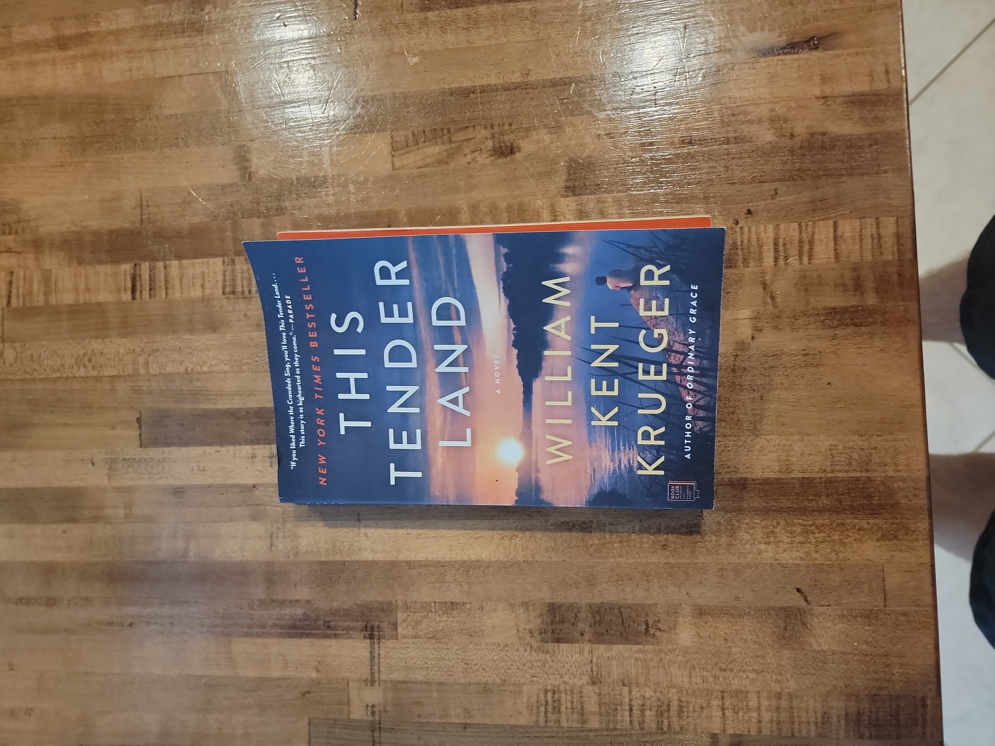 This Tender Land