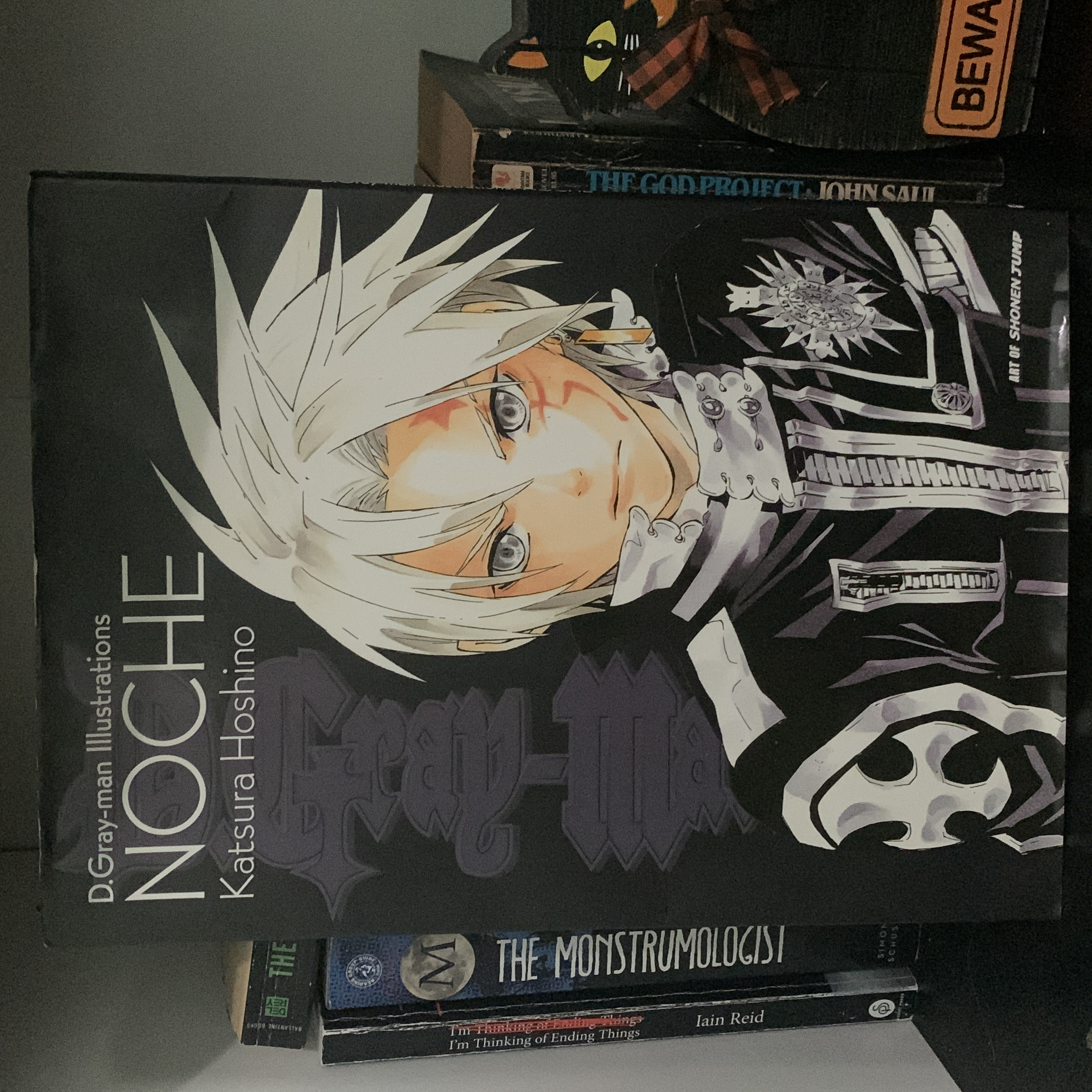 D. Gray-Man Illustrations: NOCHE