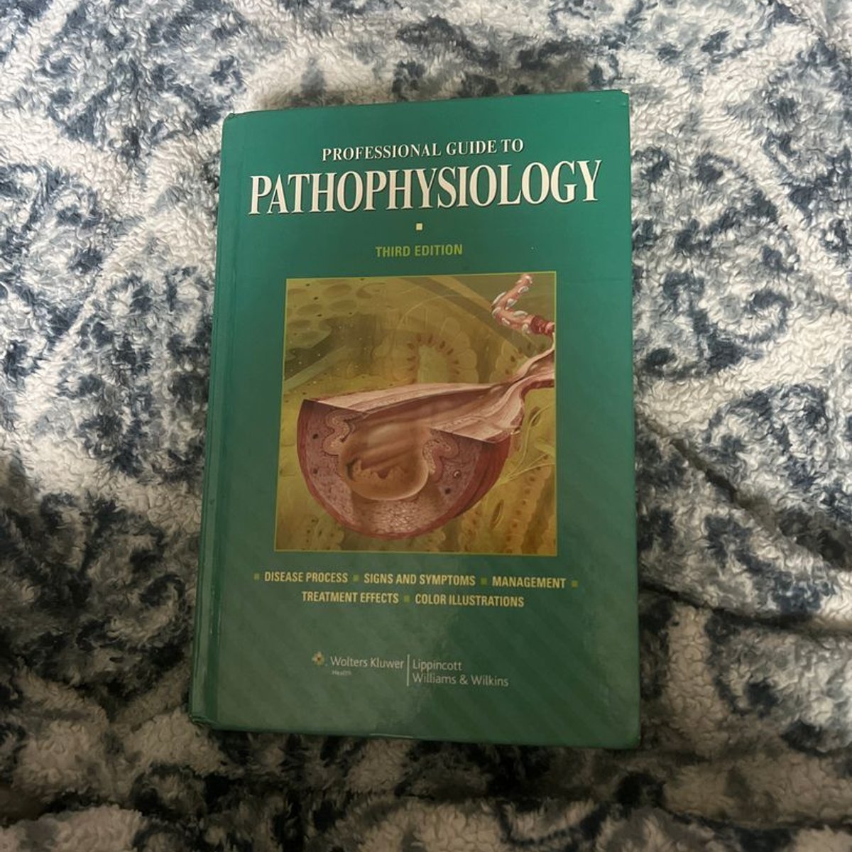 Professional Guide to Pathophysiology by Springhouse Publishing Company ...
