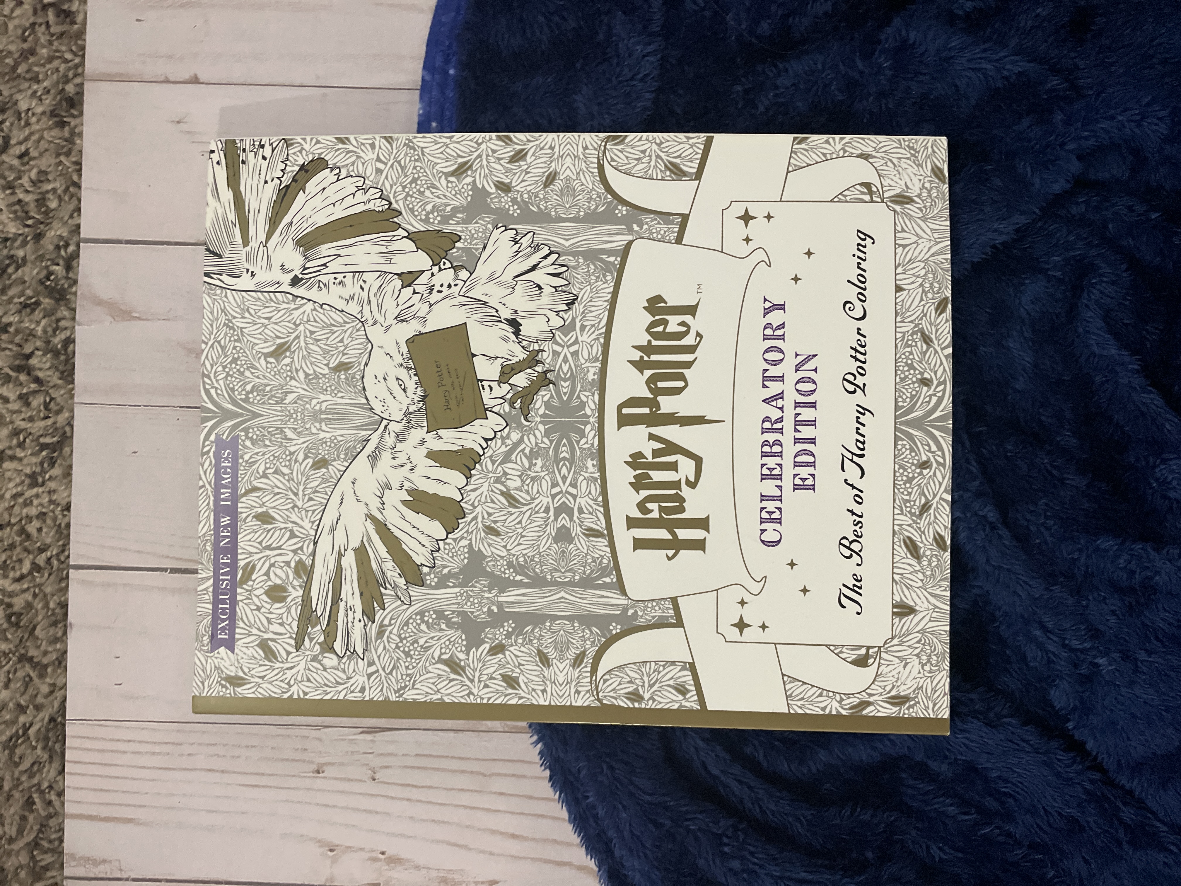 Harry Potter Coloring Book: Celebratory Edition
