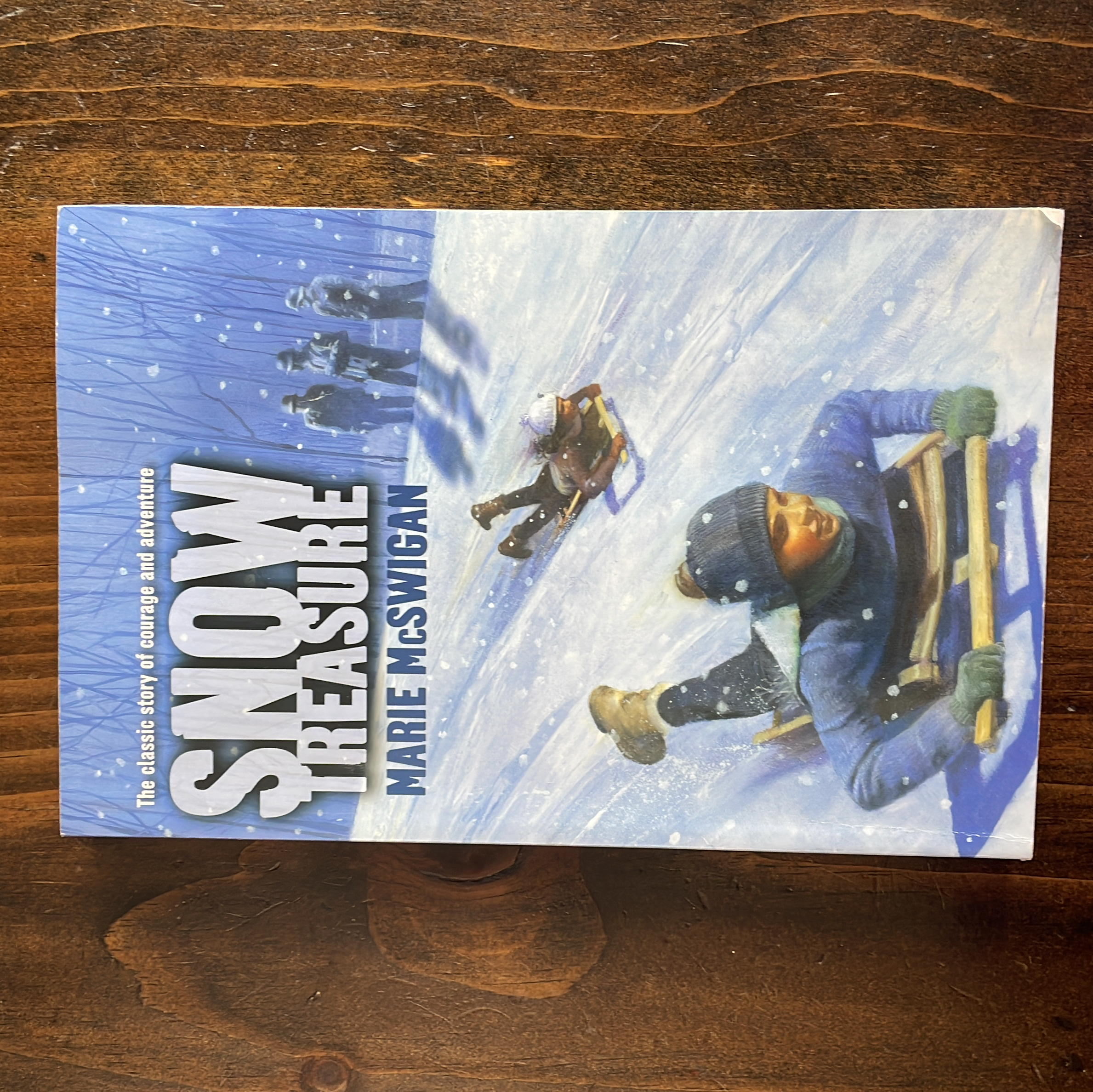 Snow Treasure