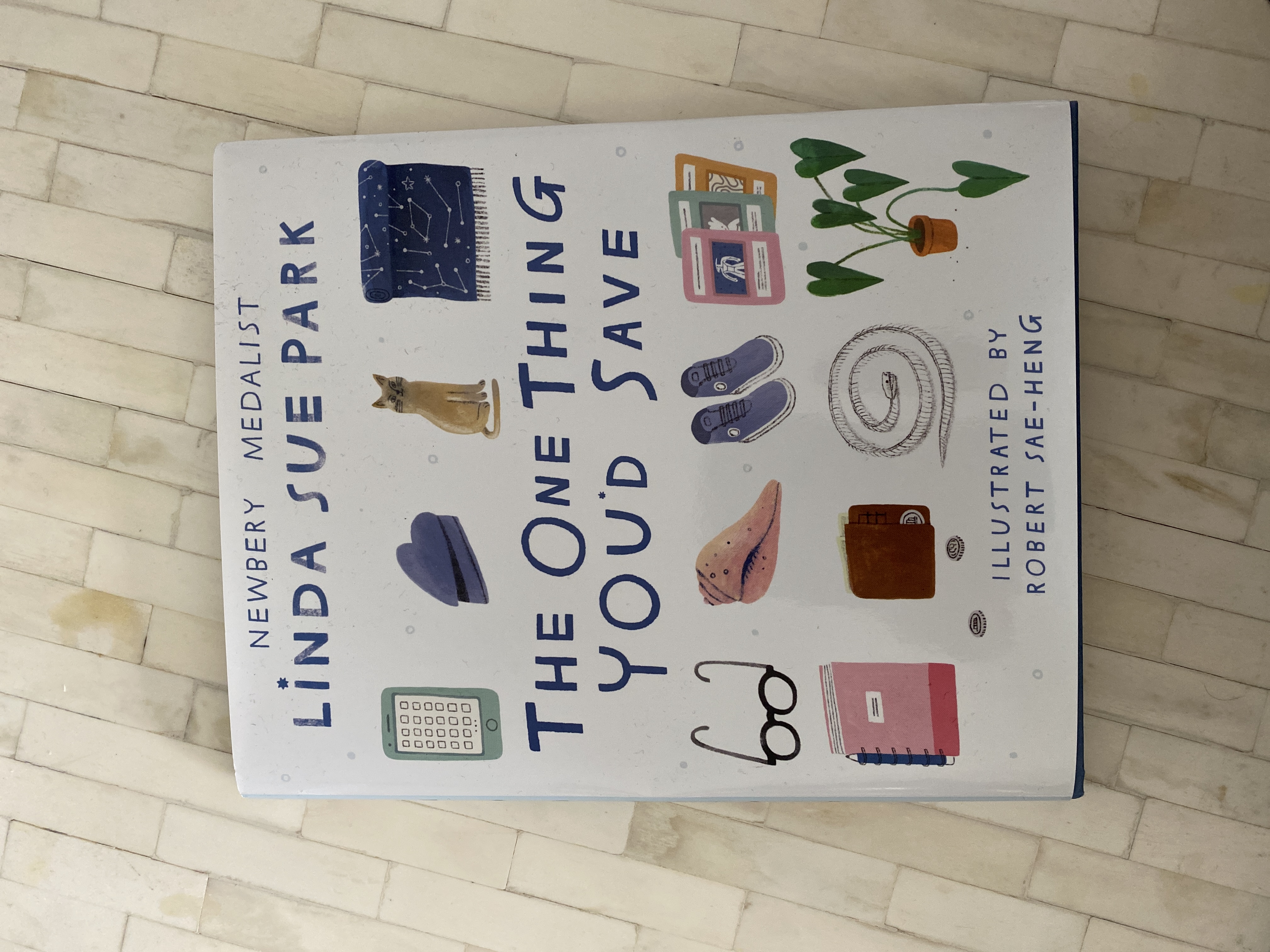 The One Thing You'd Save