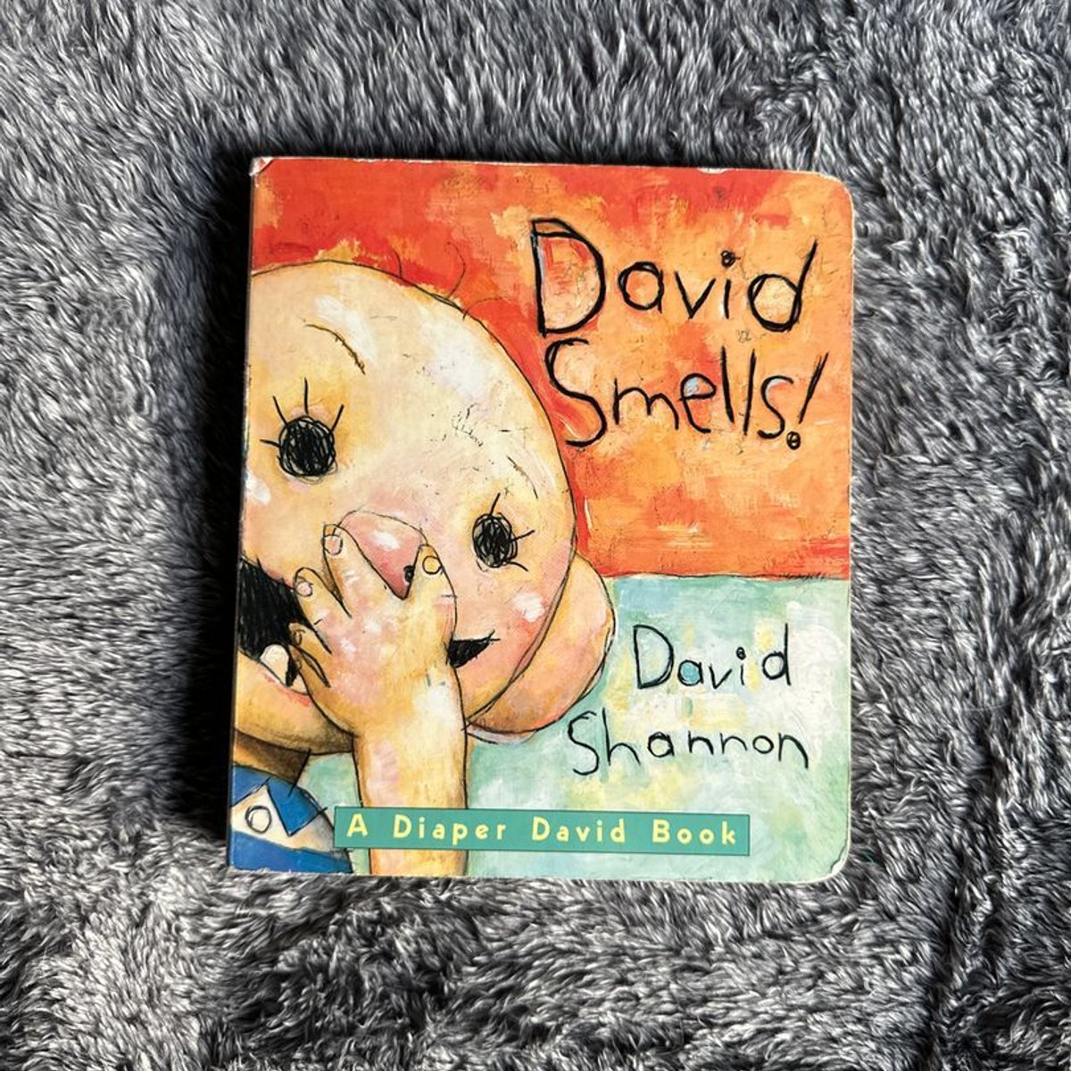 David Smells! by David Shannon