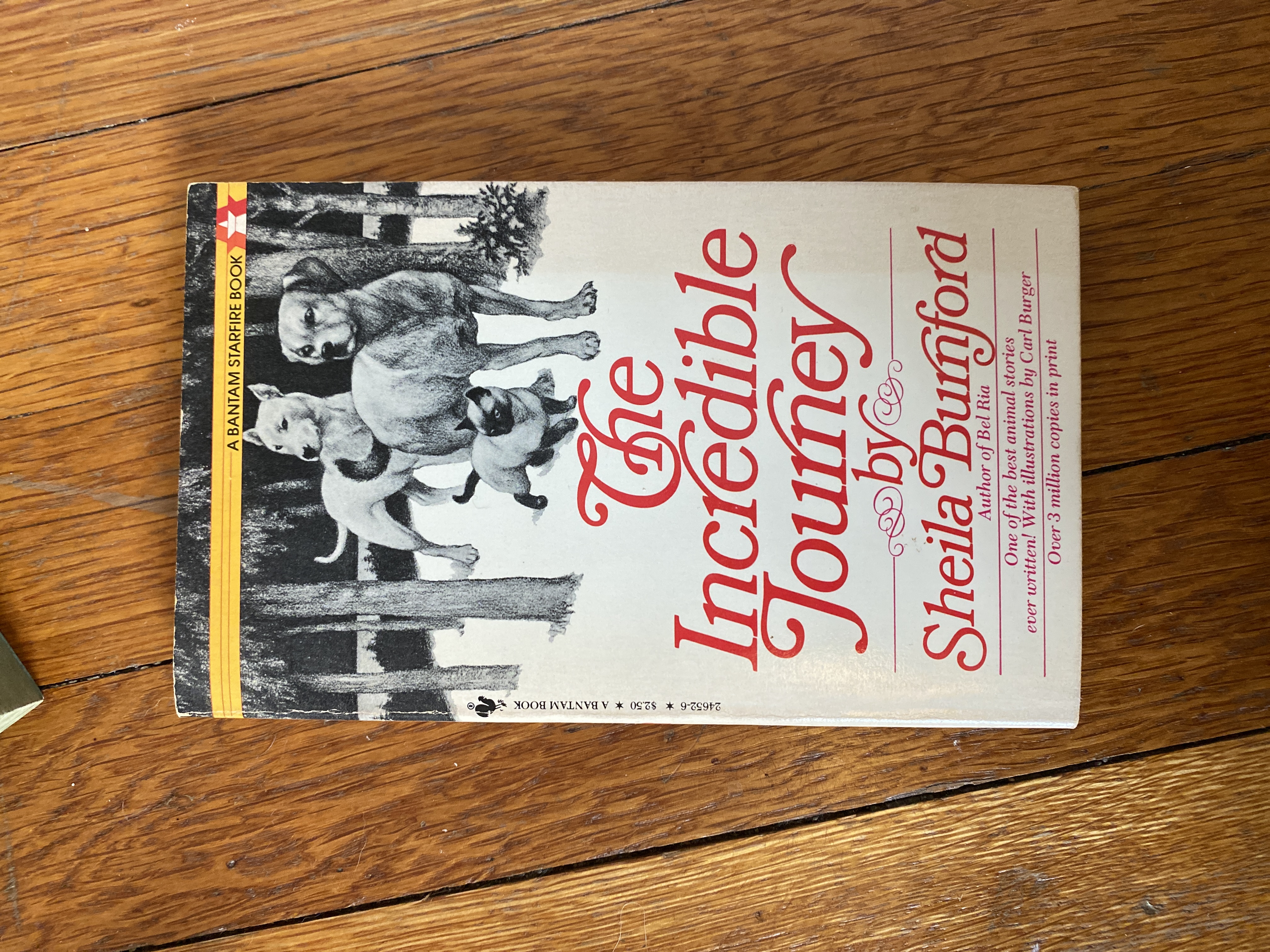 The Incredible Journey