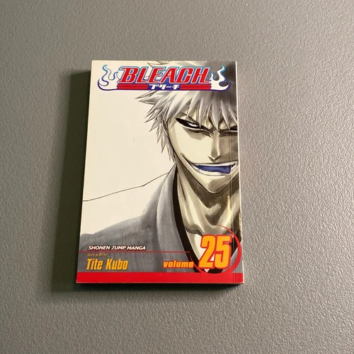 Bleach, Vol. 25