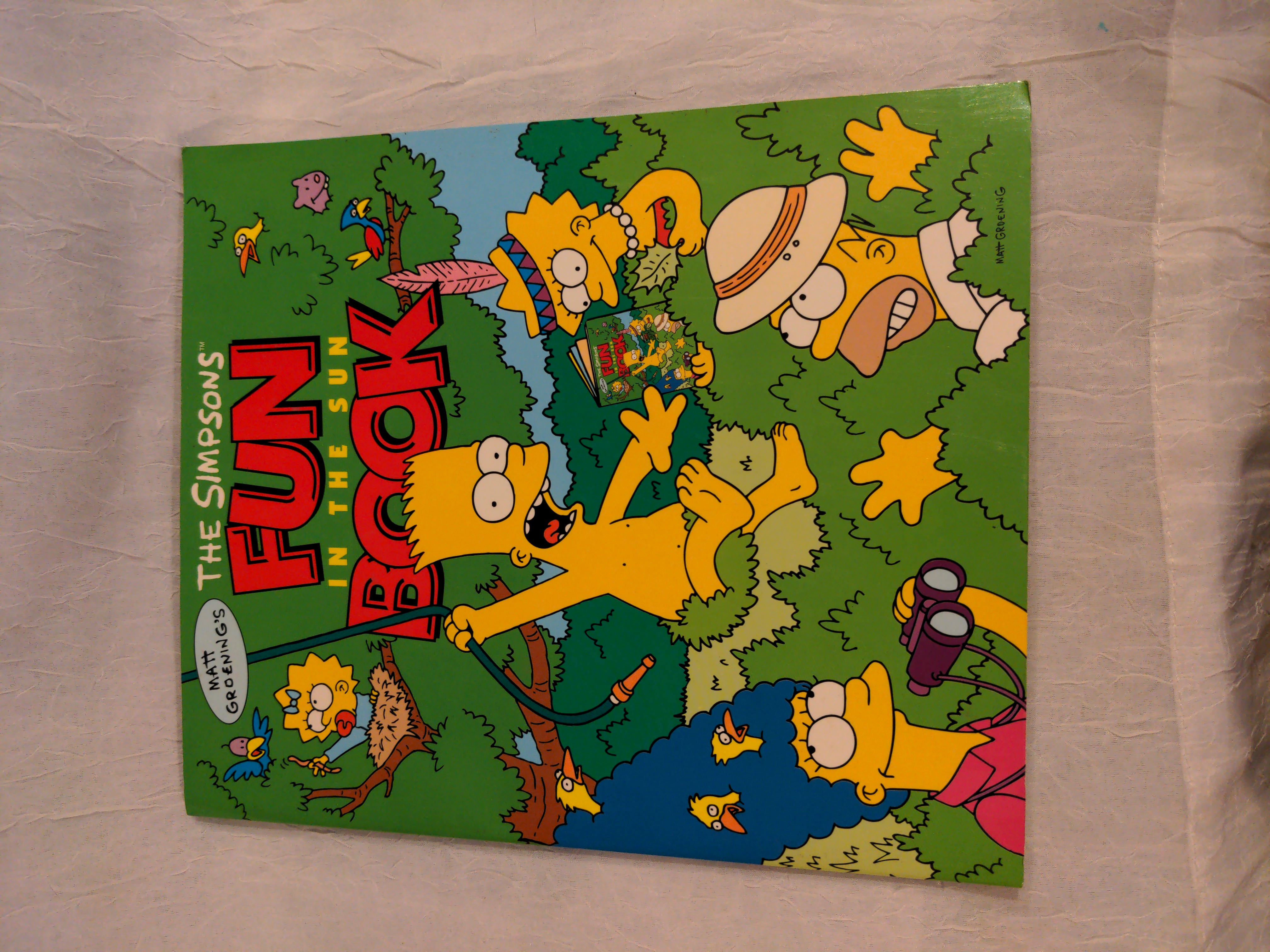 Fun in the Sun Book