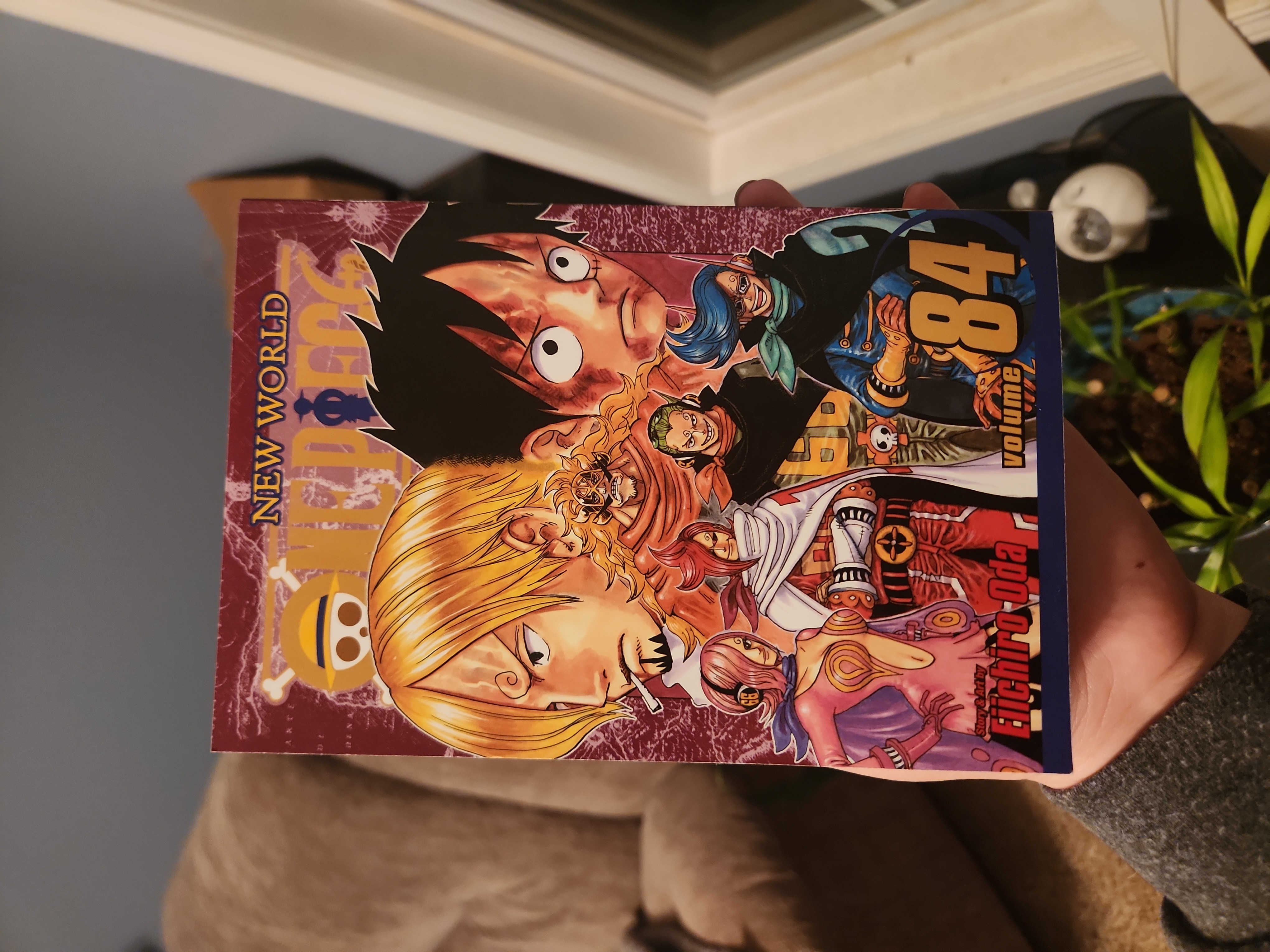 One Piece, Vol. 84