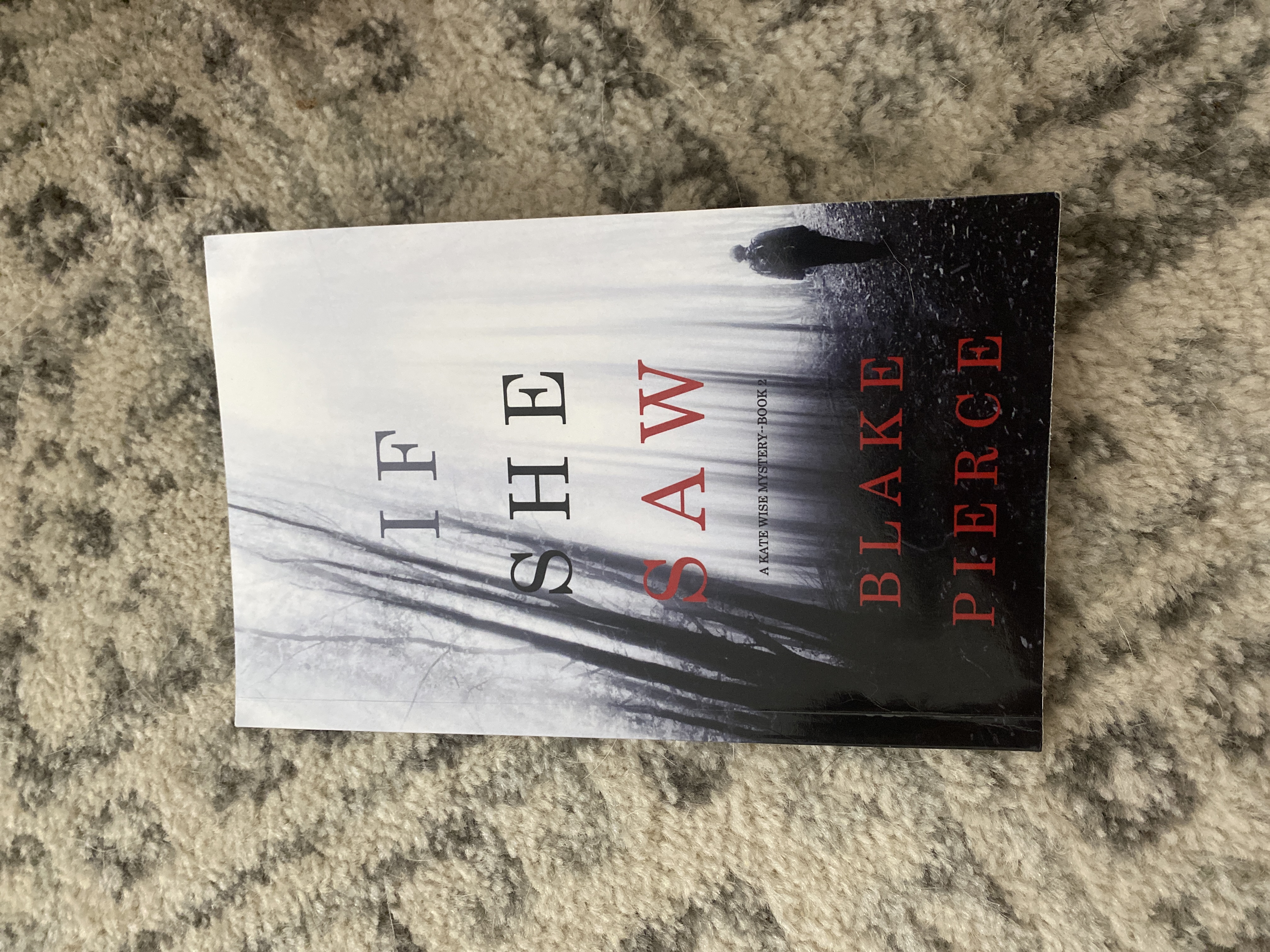 If She Saw (a Kate Wise Mystery-Book 2)