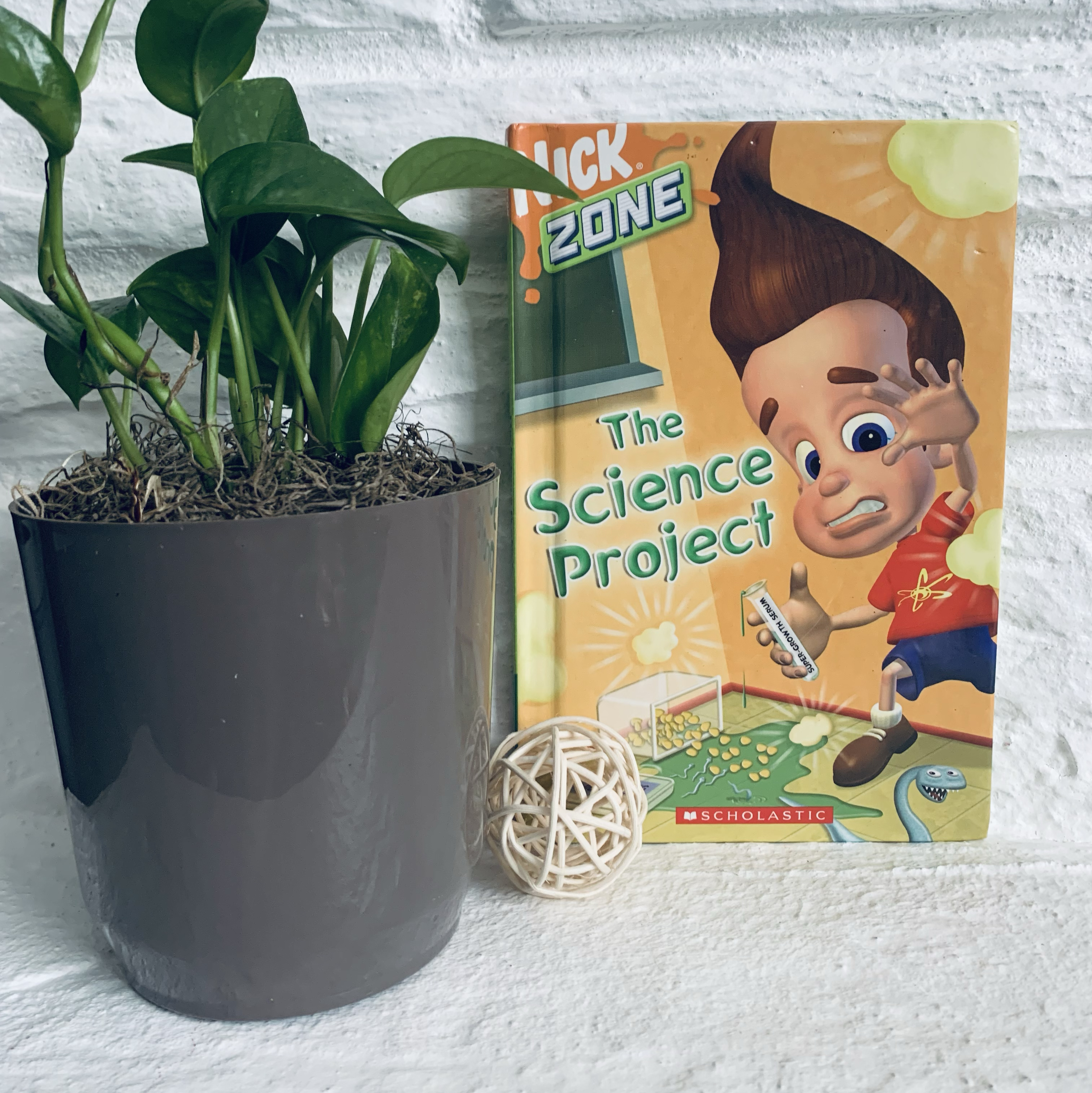 The Science Project by