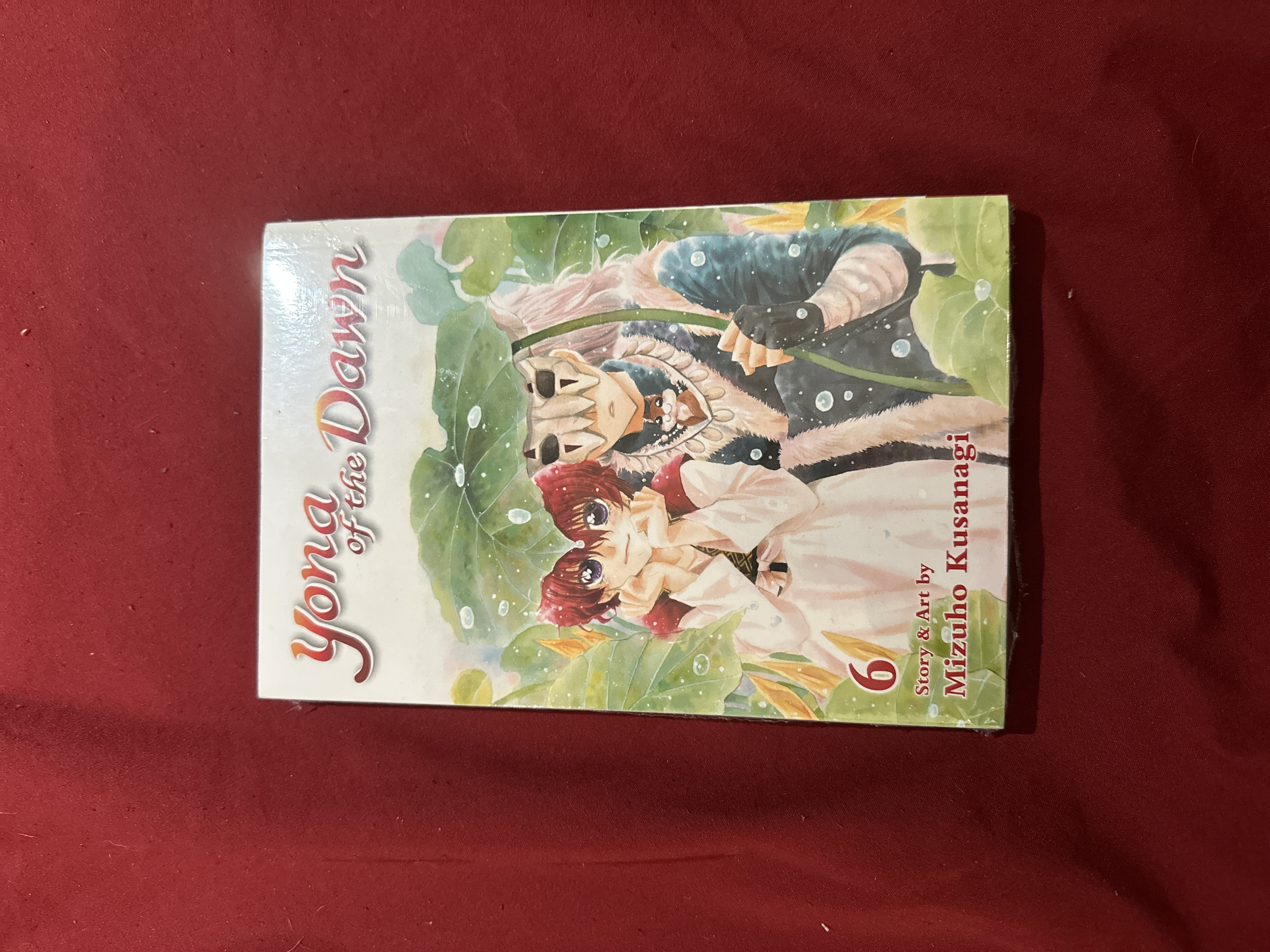 Yona of the Dawn, Vol. 6