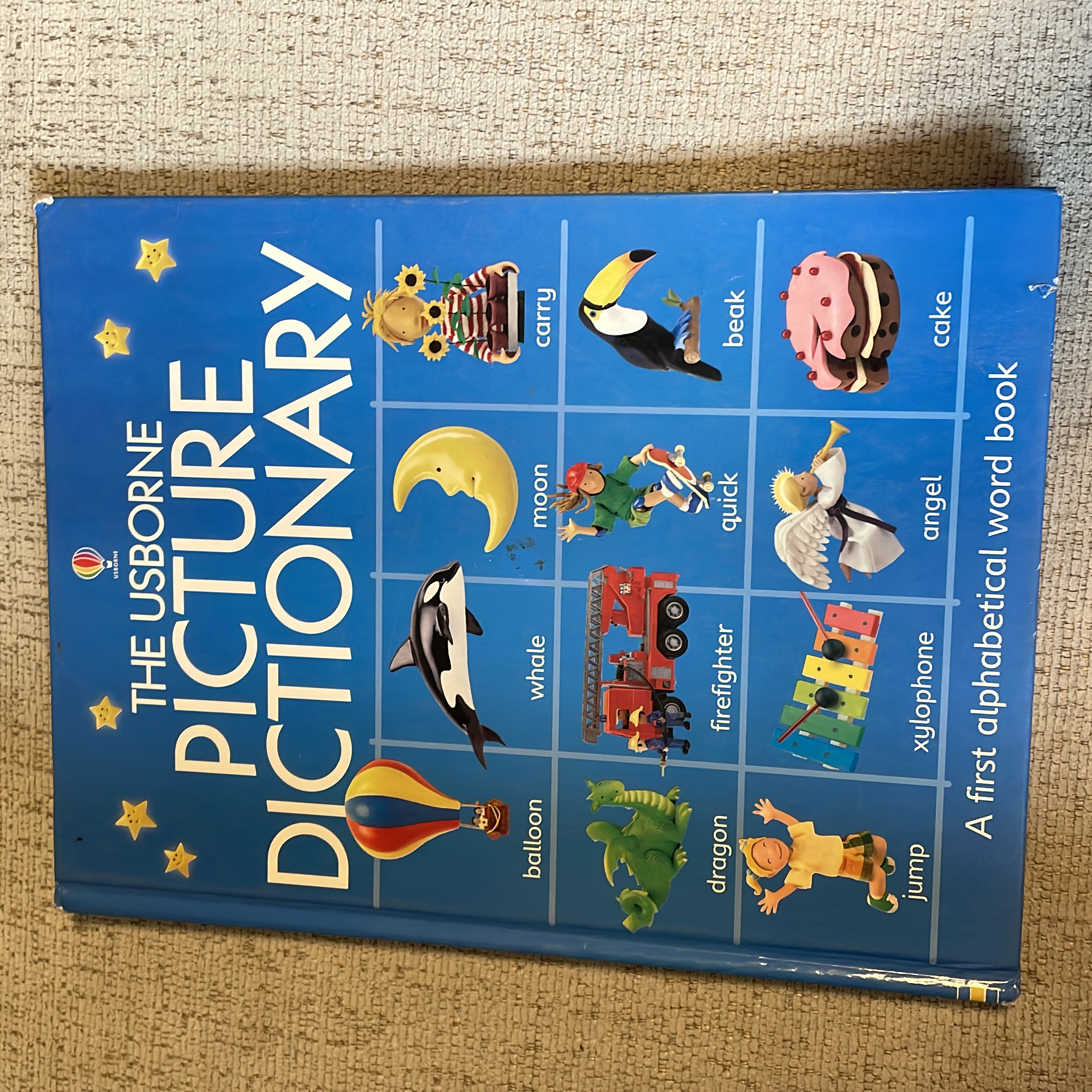 The Usborne Picture Dictionary