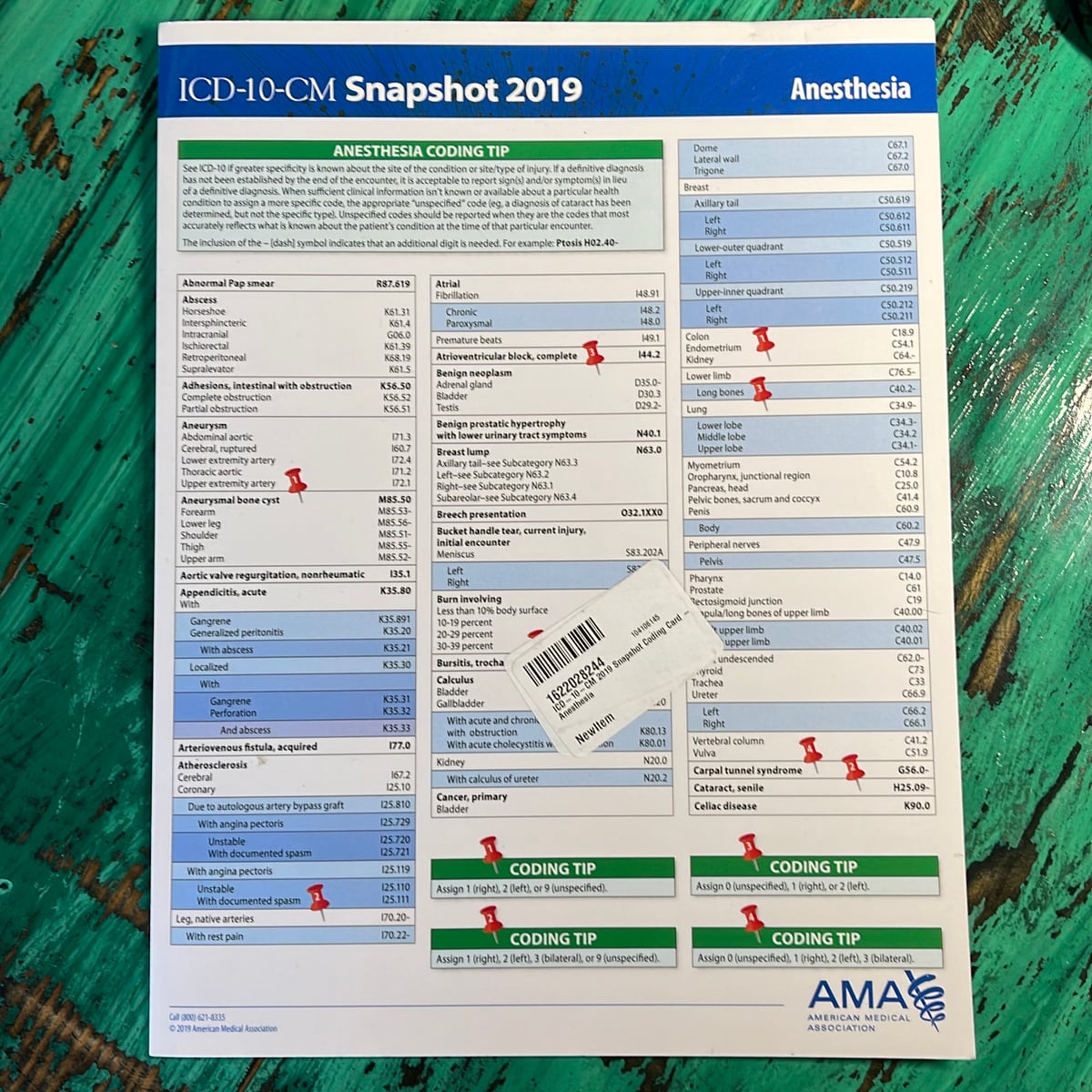 ICD-10-CM 2019 Snapshot Coding Card:Anesthesia by American Medical ...