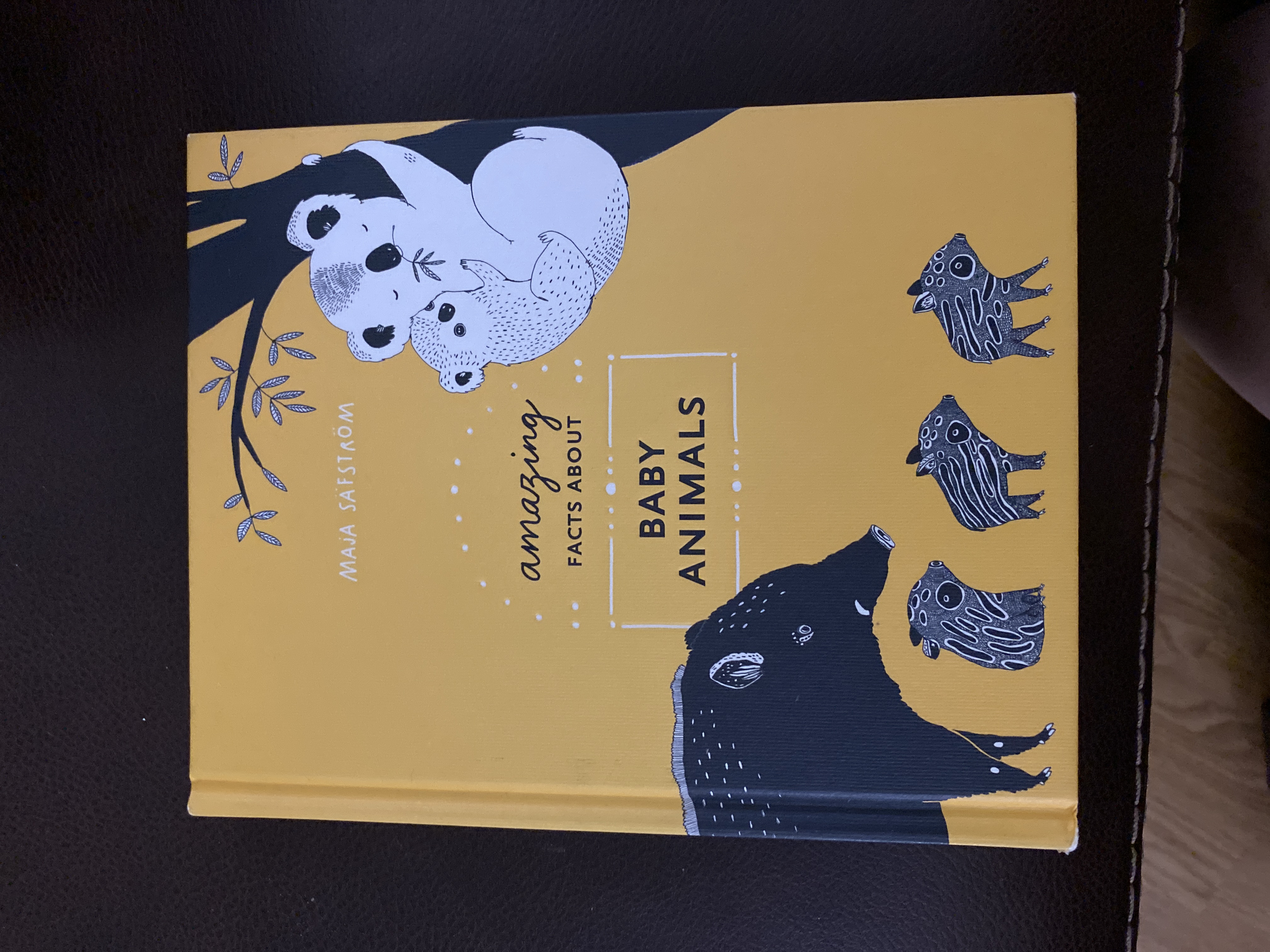 Amazing Facts about Baby Animals