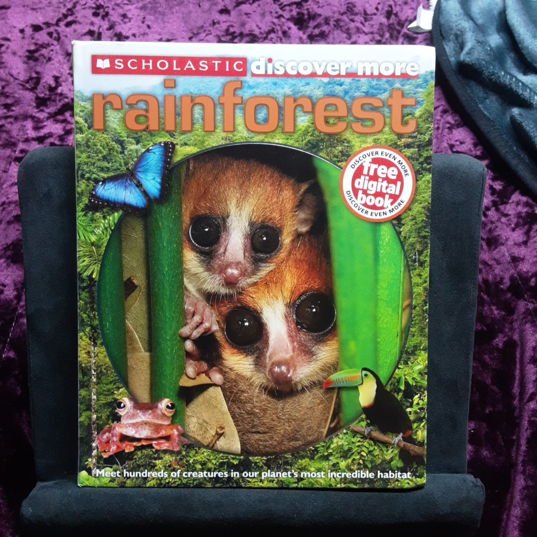 Rainforest