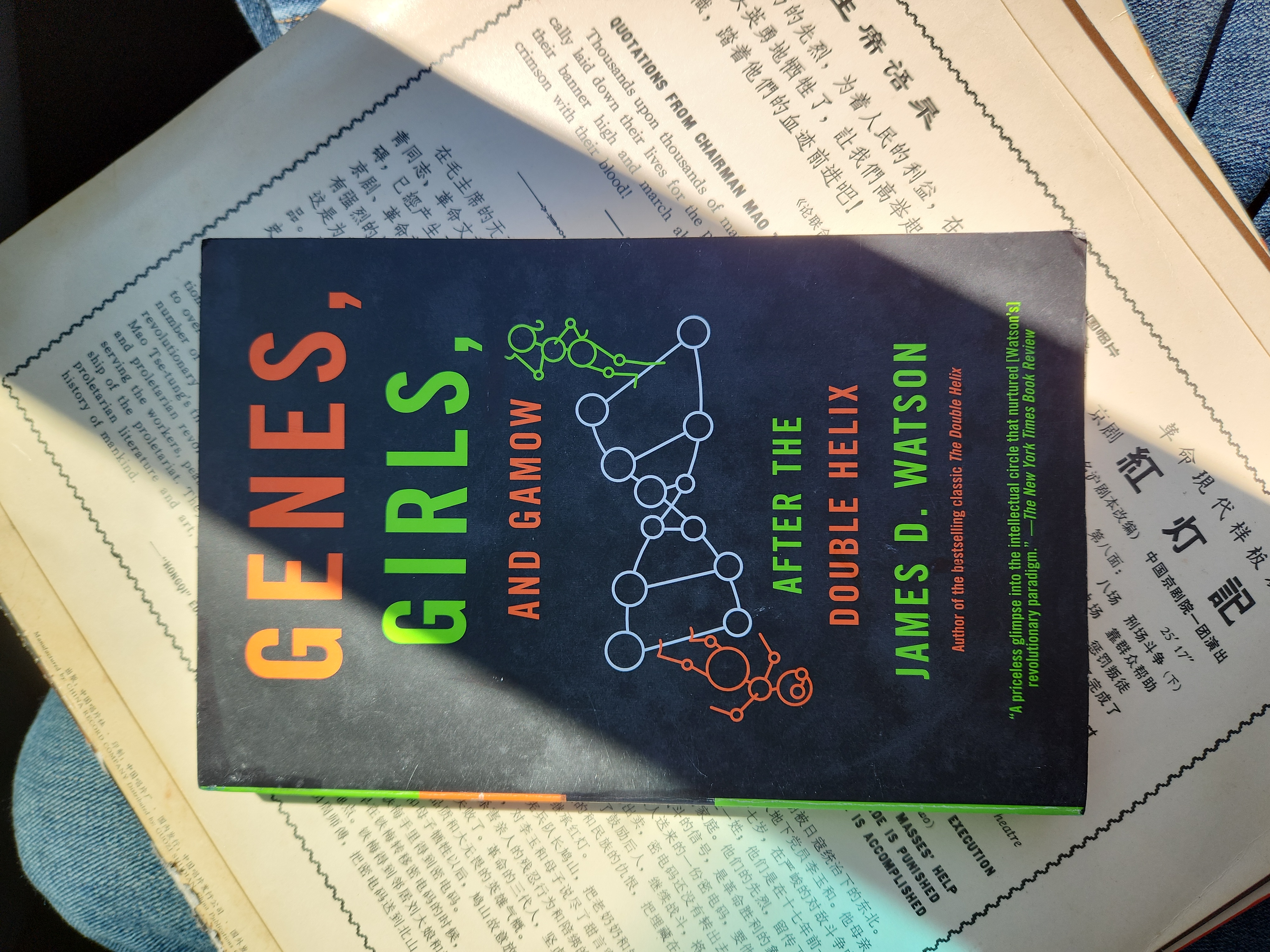 Genes, Girls, and Gamow