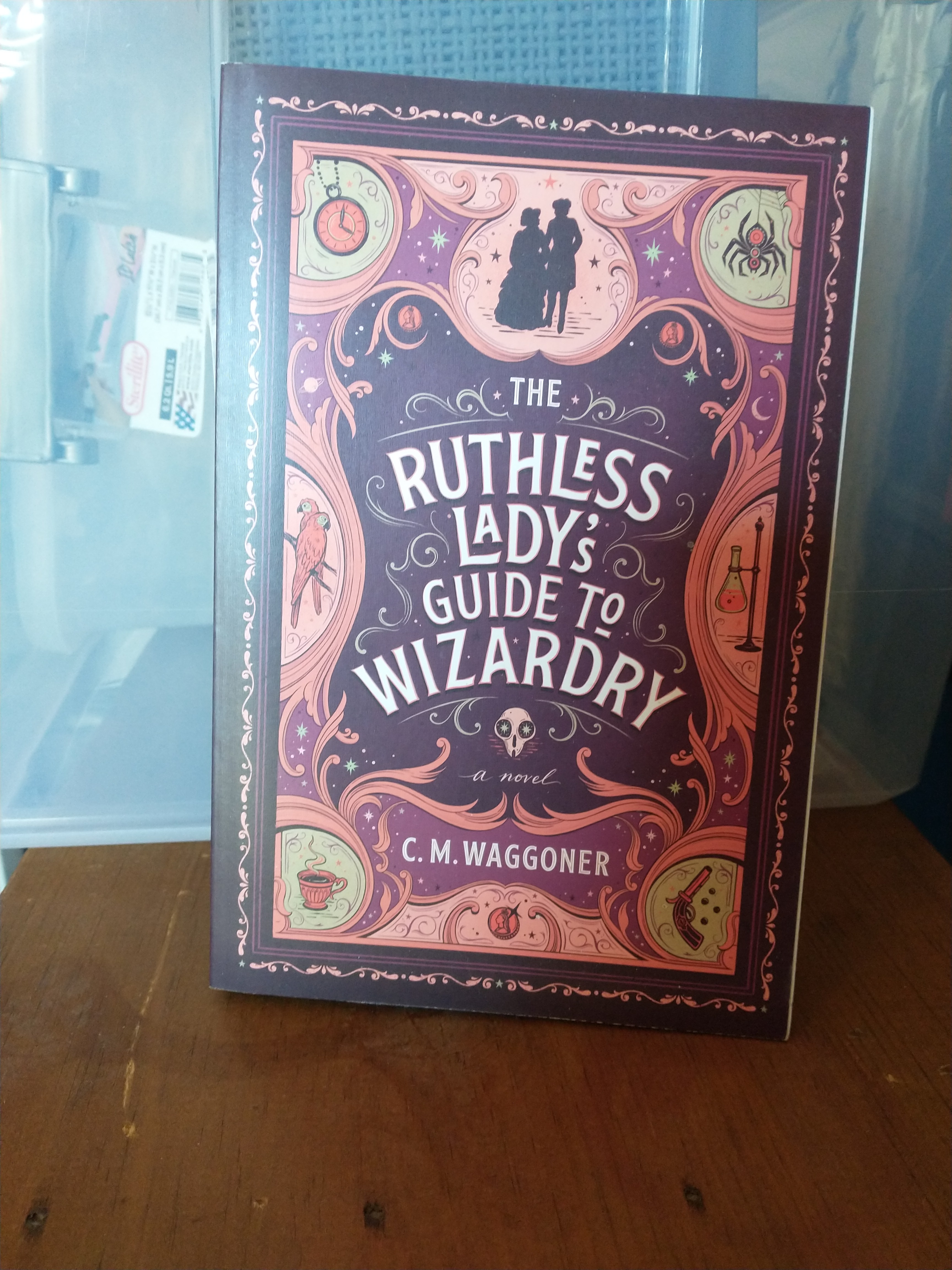 The Ruthless Lady's Guide to Wizardry