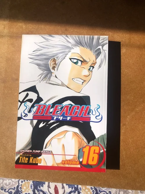 Bleach, Vol. 16