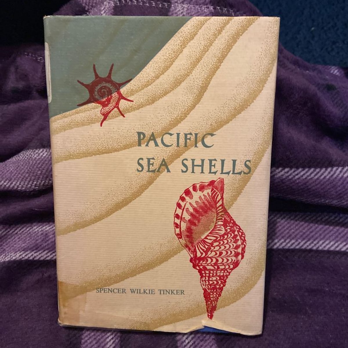 Pacific Sea-Shells by Spencer W. Tinker