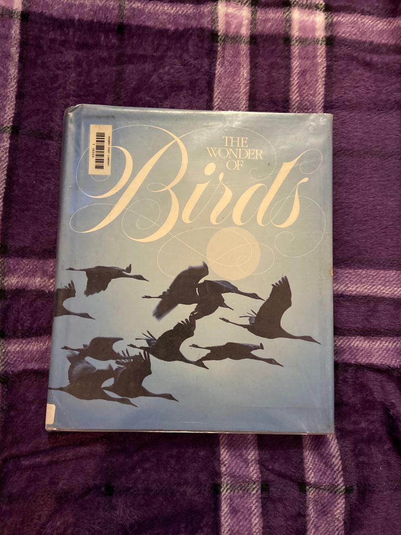 The Wonder of Birds