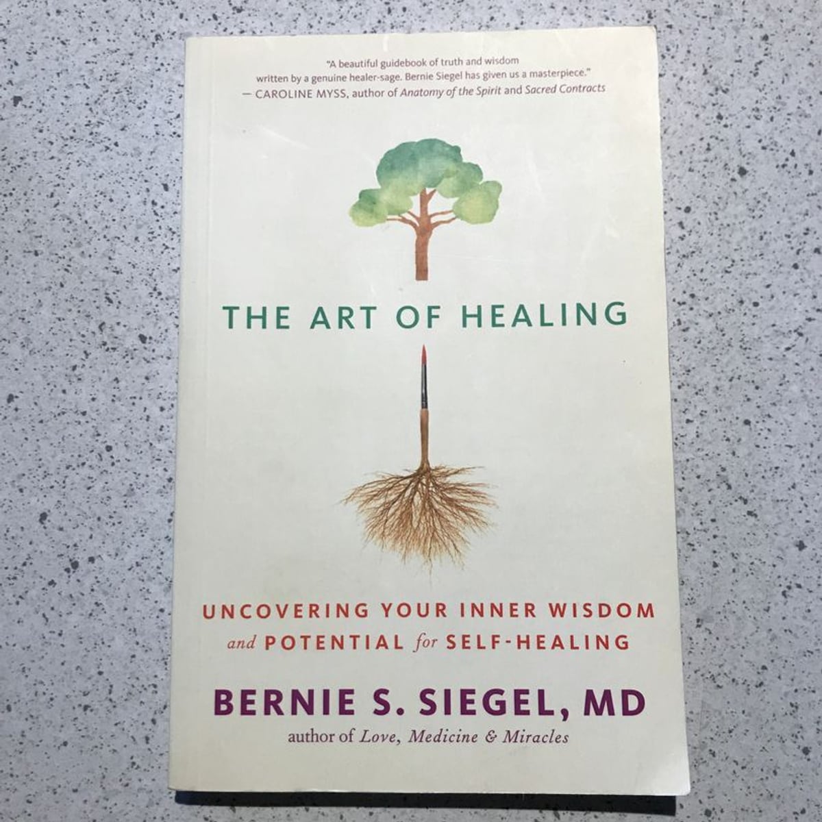 The Art of Healing by Bernie S. Siegel, Cynthia J. Hurn