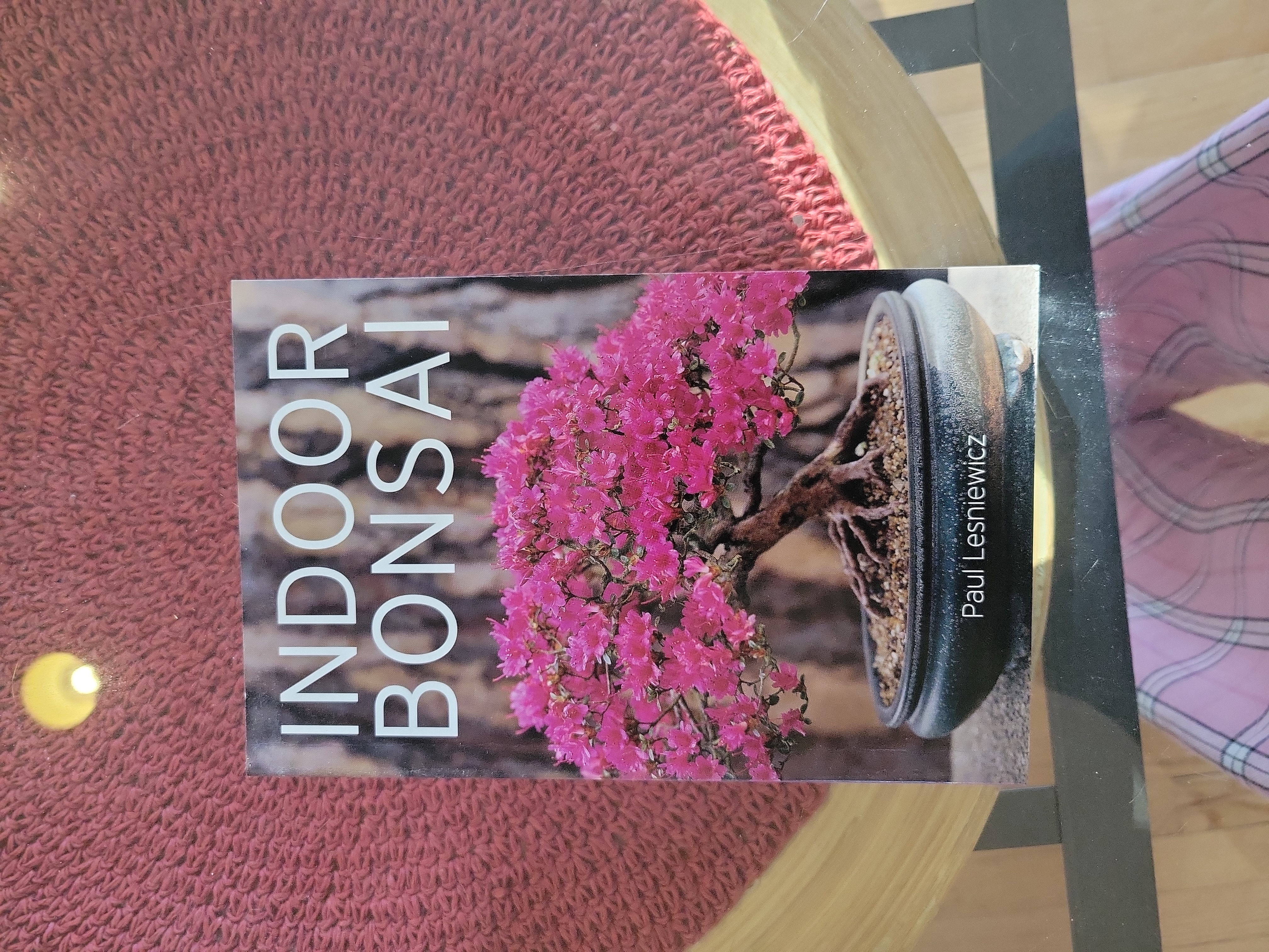 Indoor Bonsai