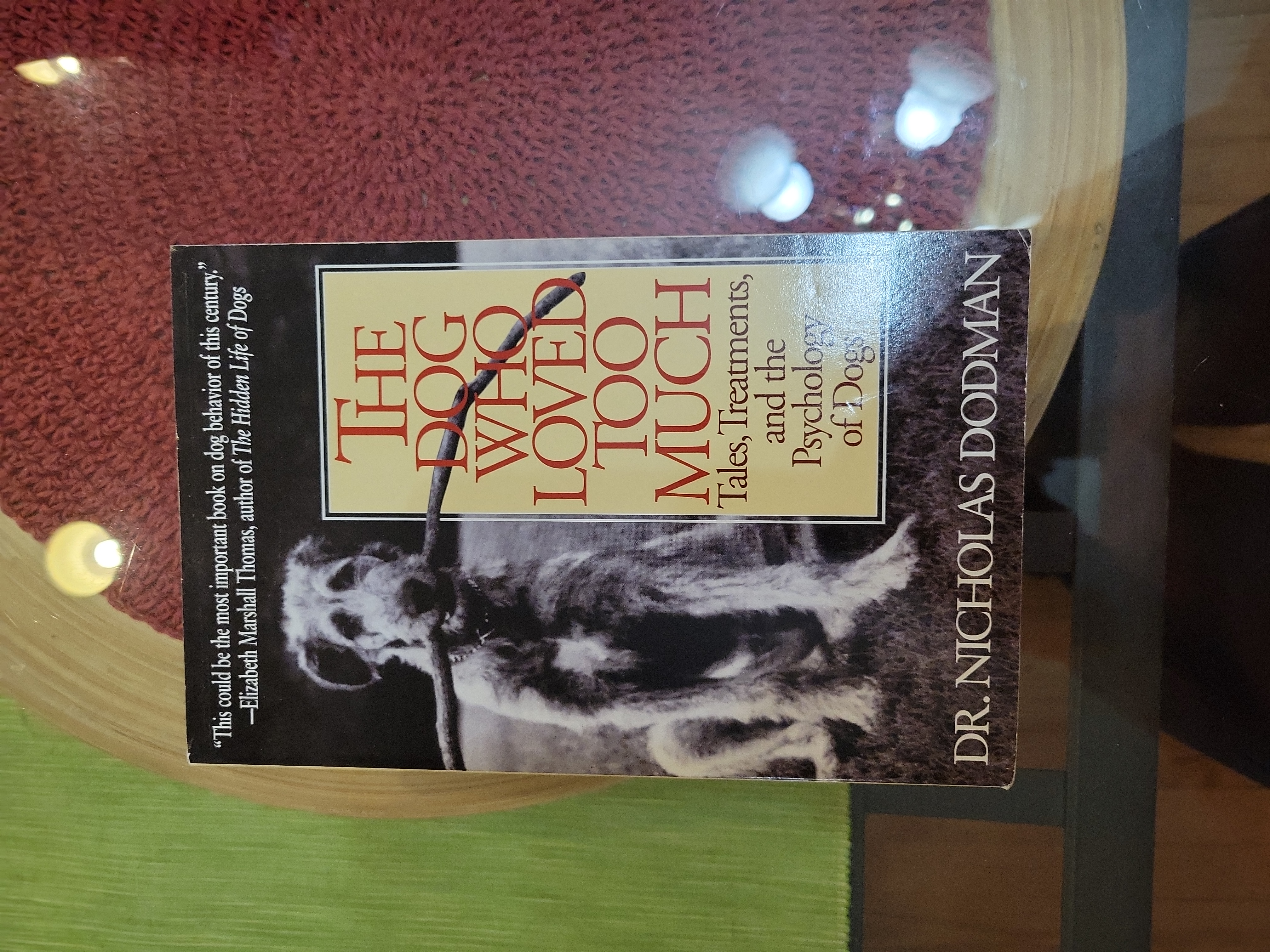 The Dog Who Loved Too Much