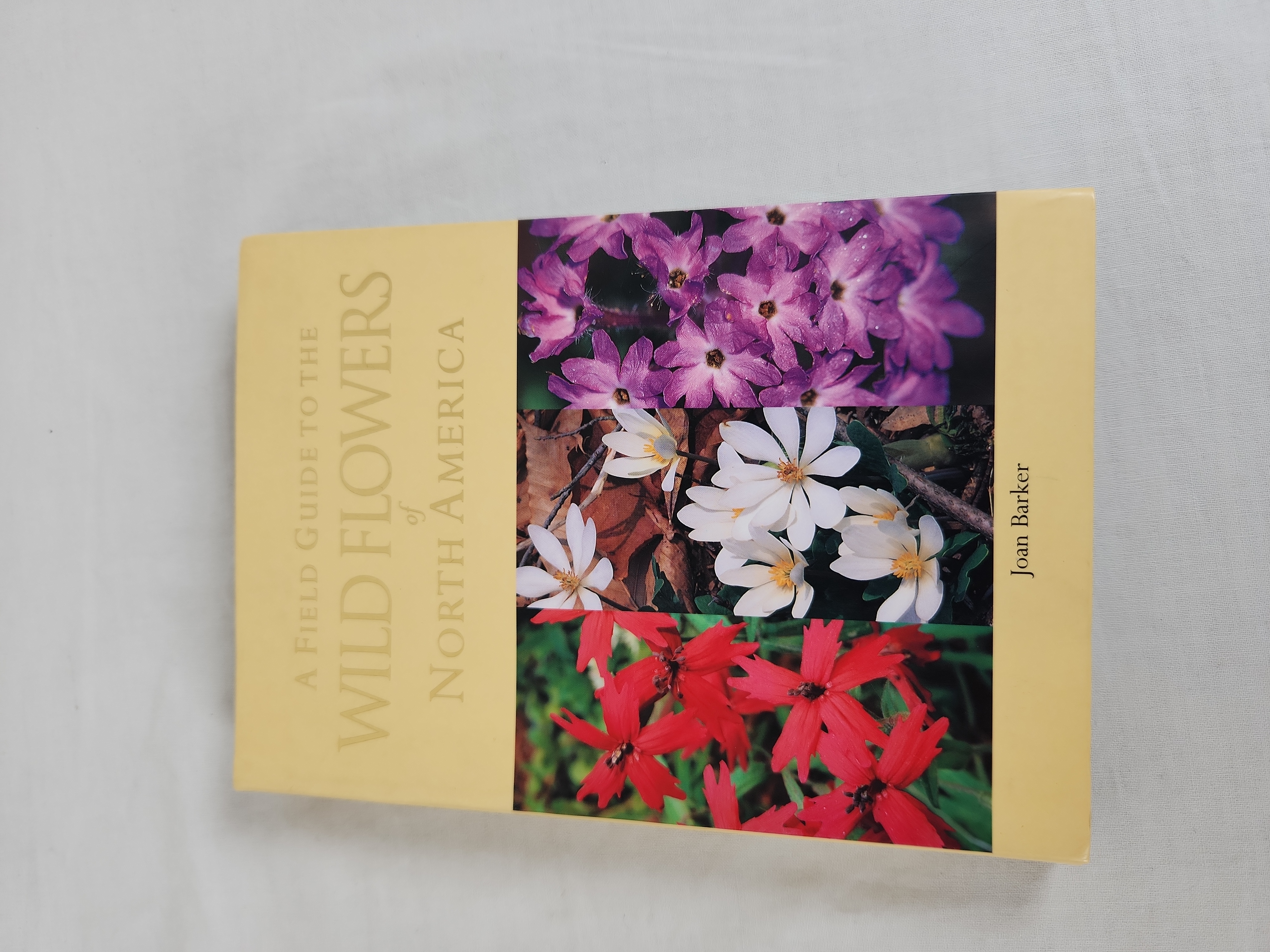 A Pocket Guide to Wild Flowers of North America