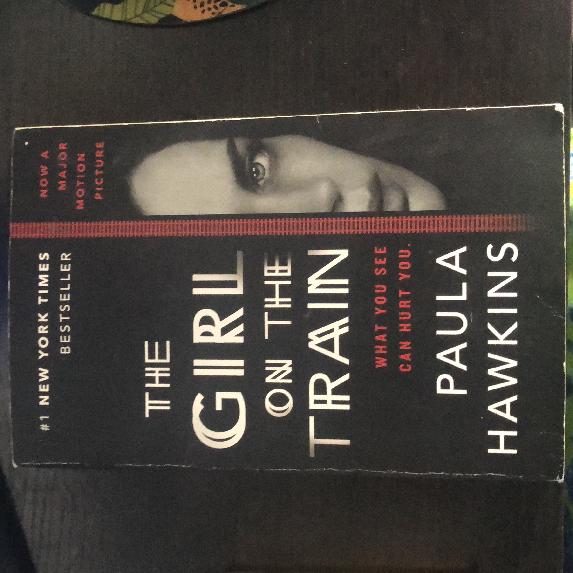 The Girl on the Train