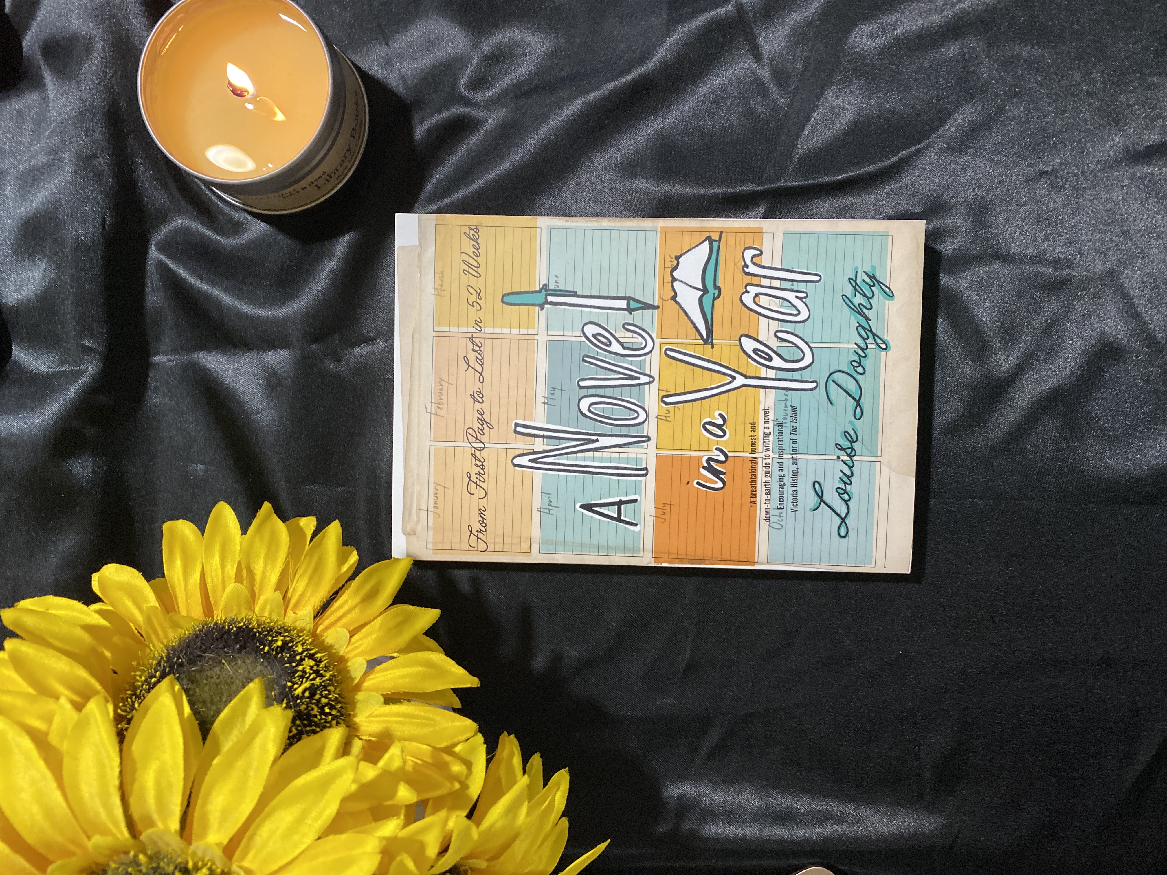 A Novel in a Year