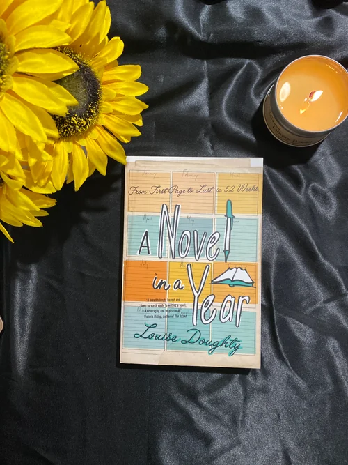 A Novel in a Year