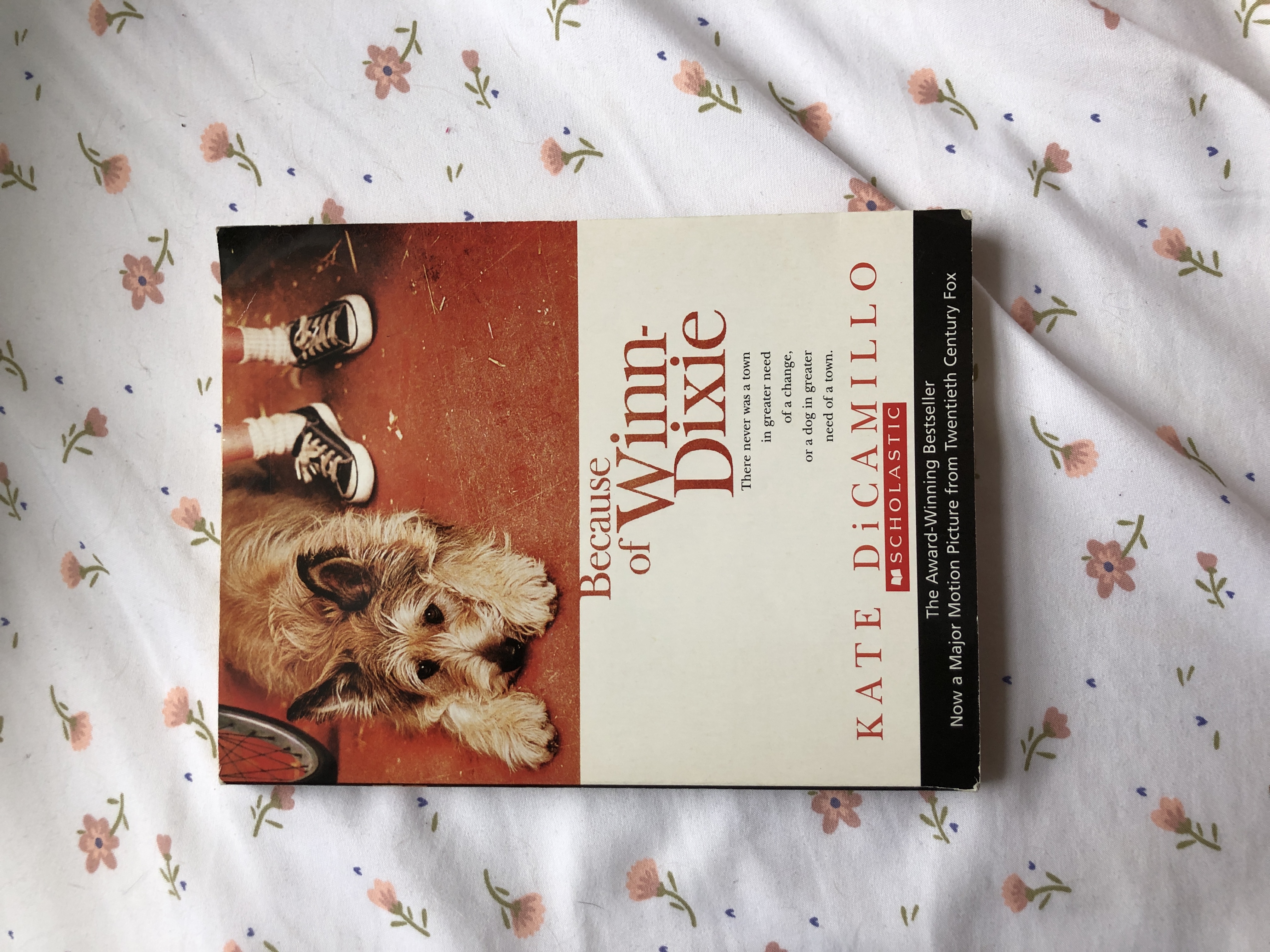 Because of Winn Dixie