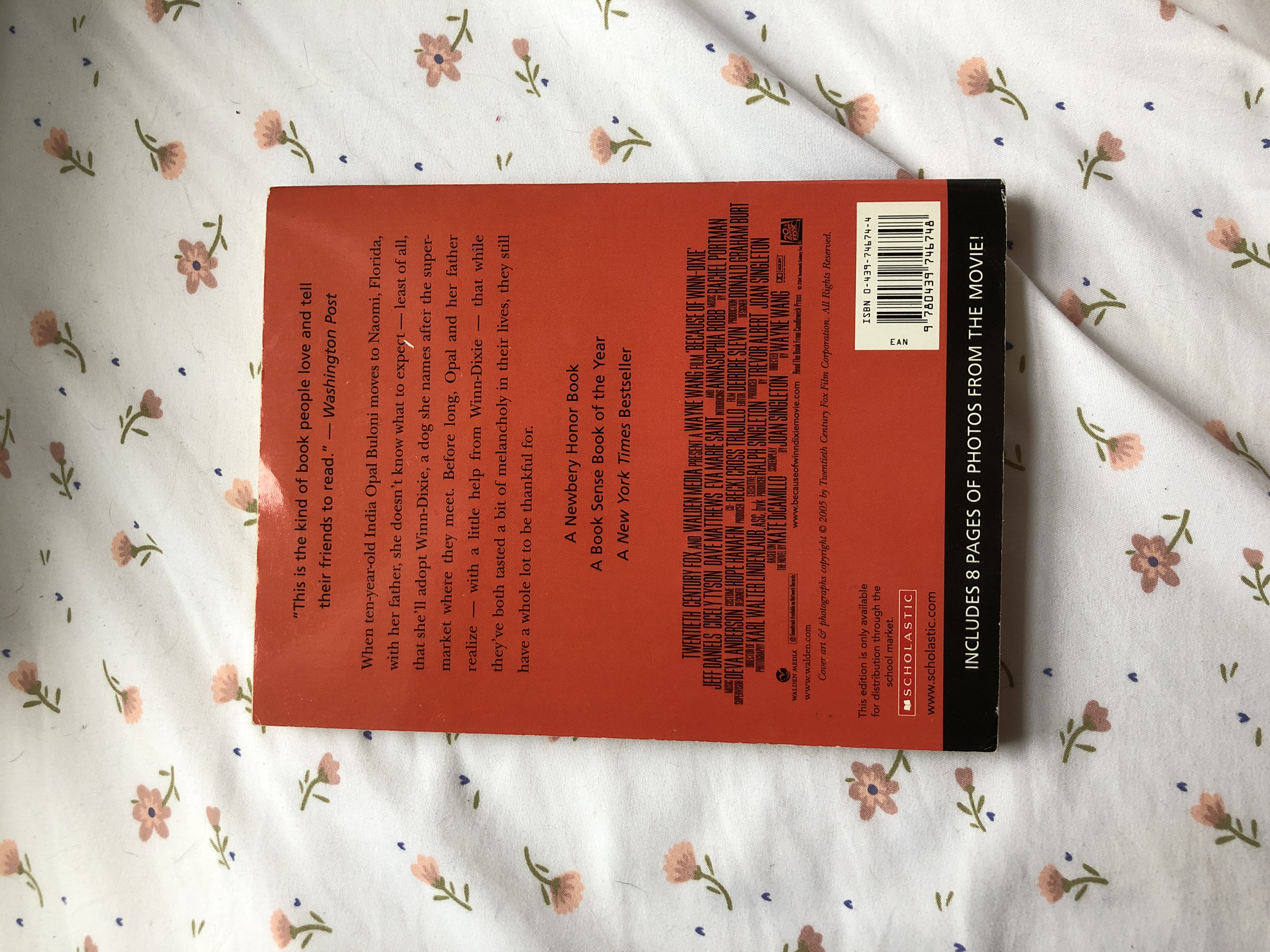 Because of Winn Dixie