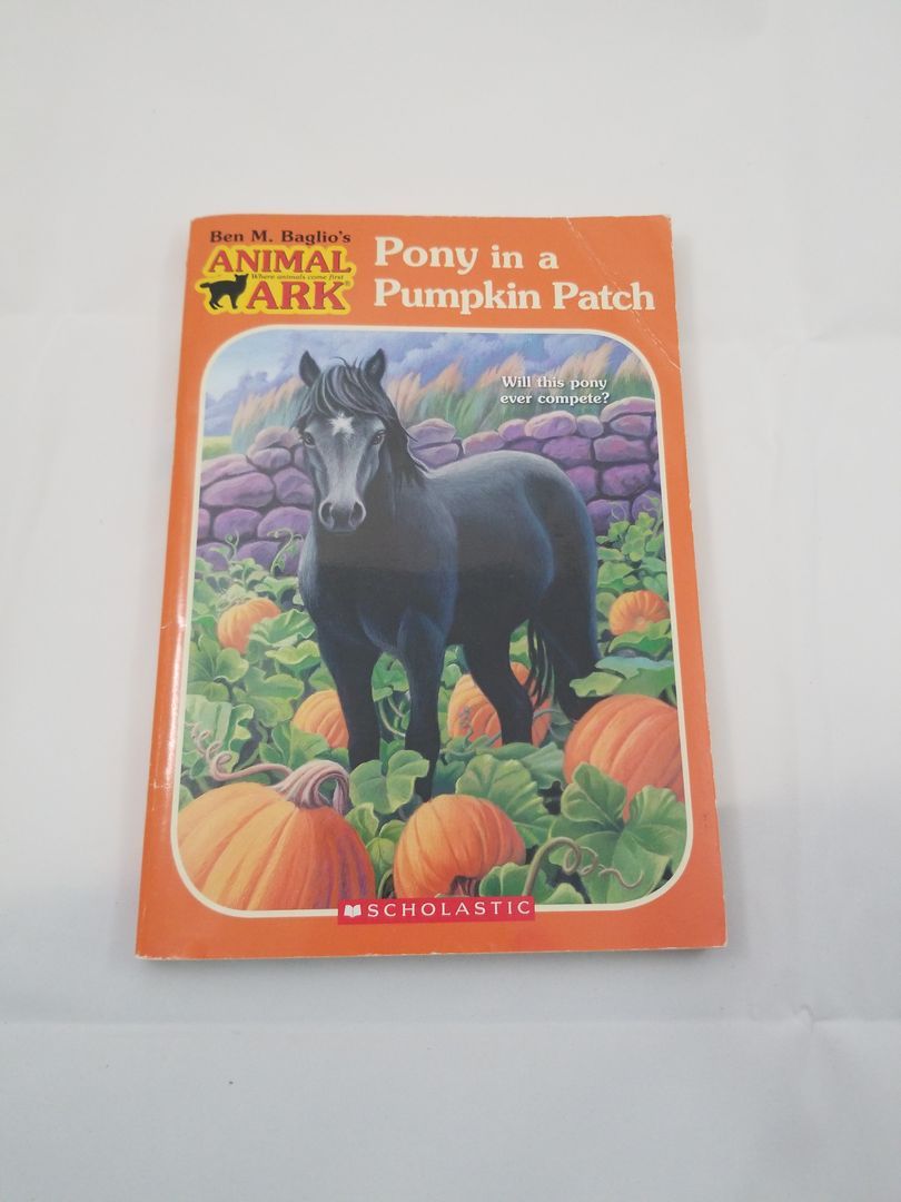 Pony in a Pumpkin Patch
