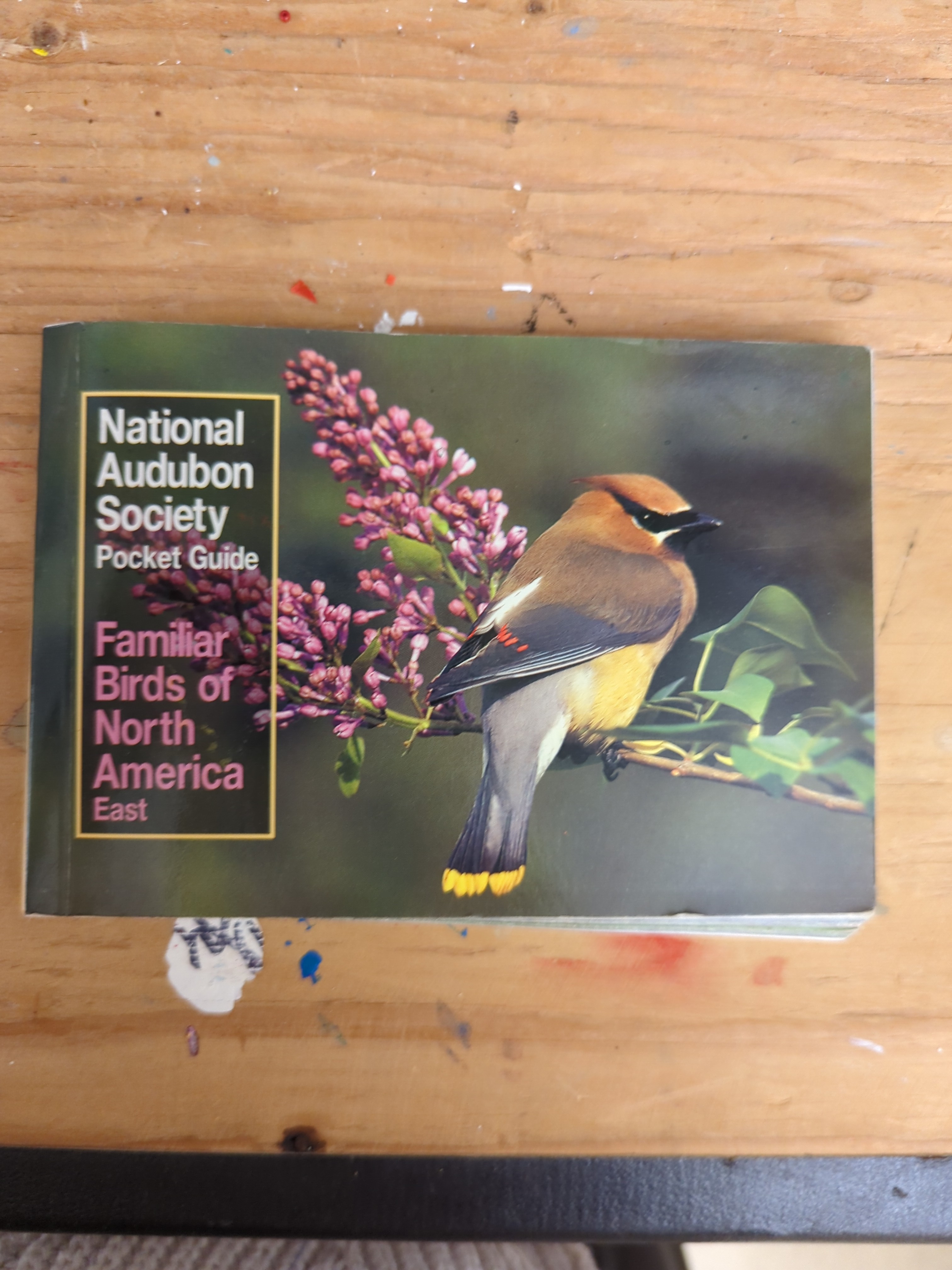 National Audubon Society Pocket Guide to Familiar Birds: Eastern Region