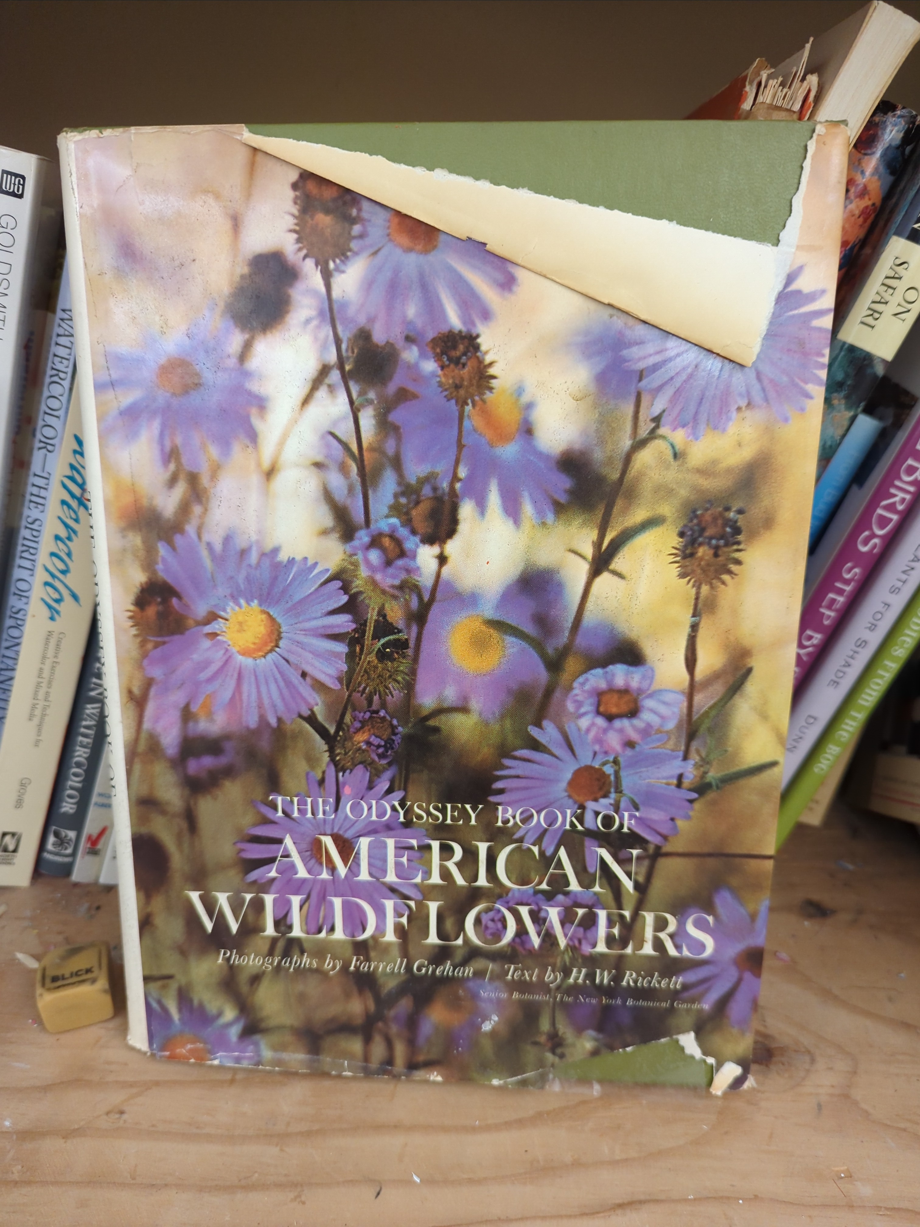 The Odyssey Book of American wildflowers