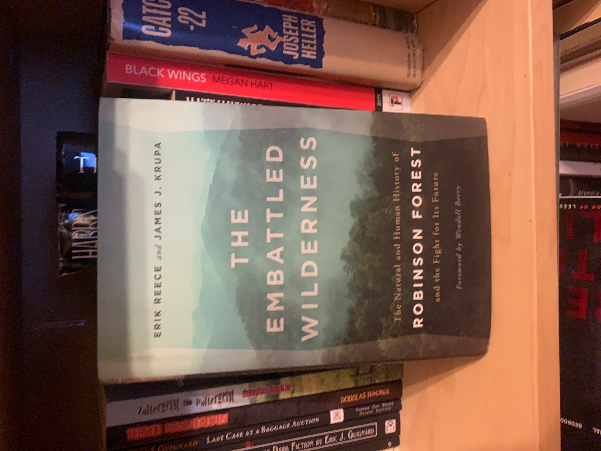The Embattled Wilderness