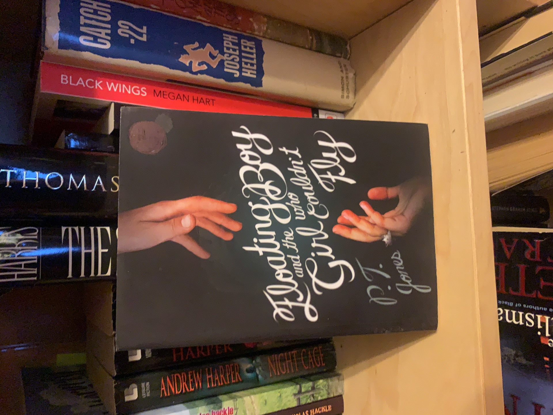 Floating Boy and the Girl Who Couldn't Fly