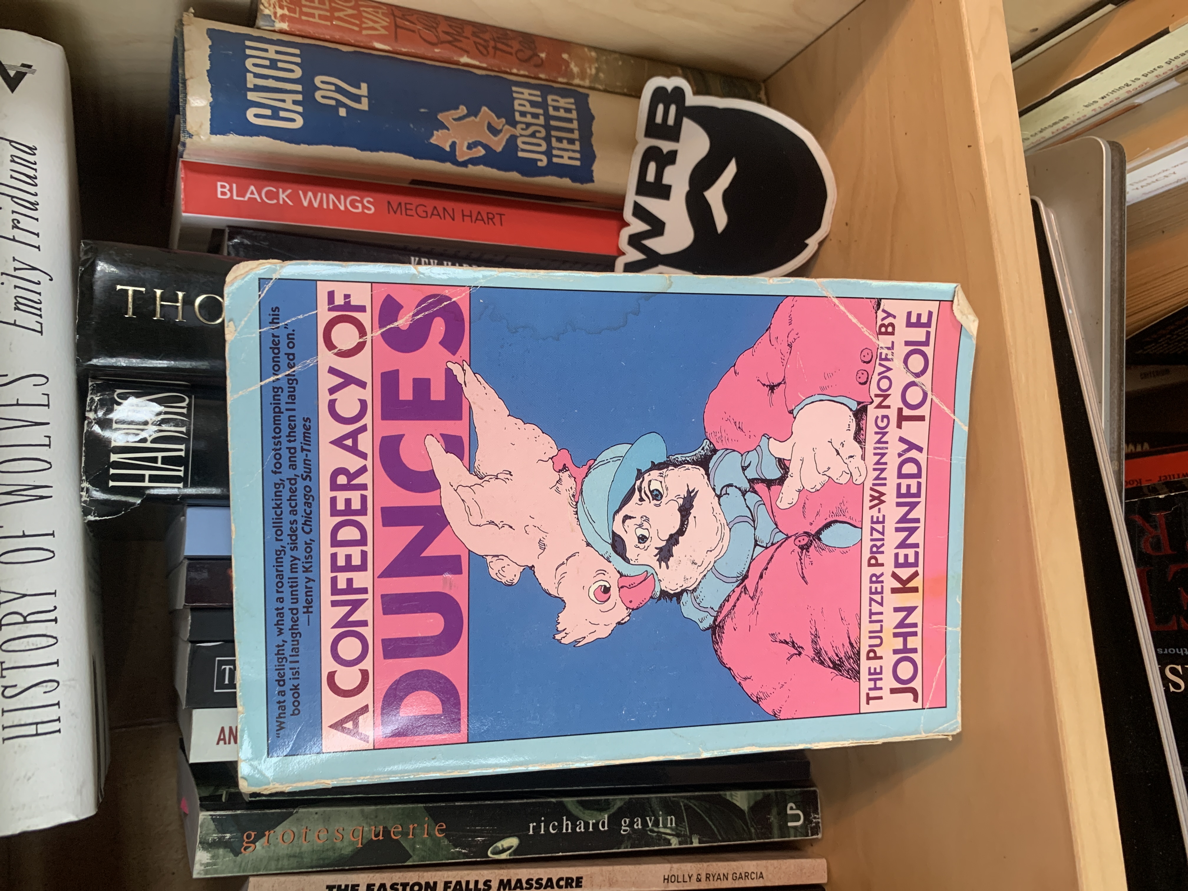 A Confederacy of Dunces