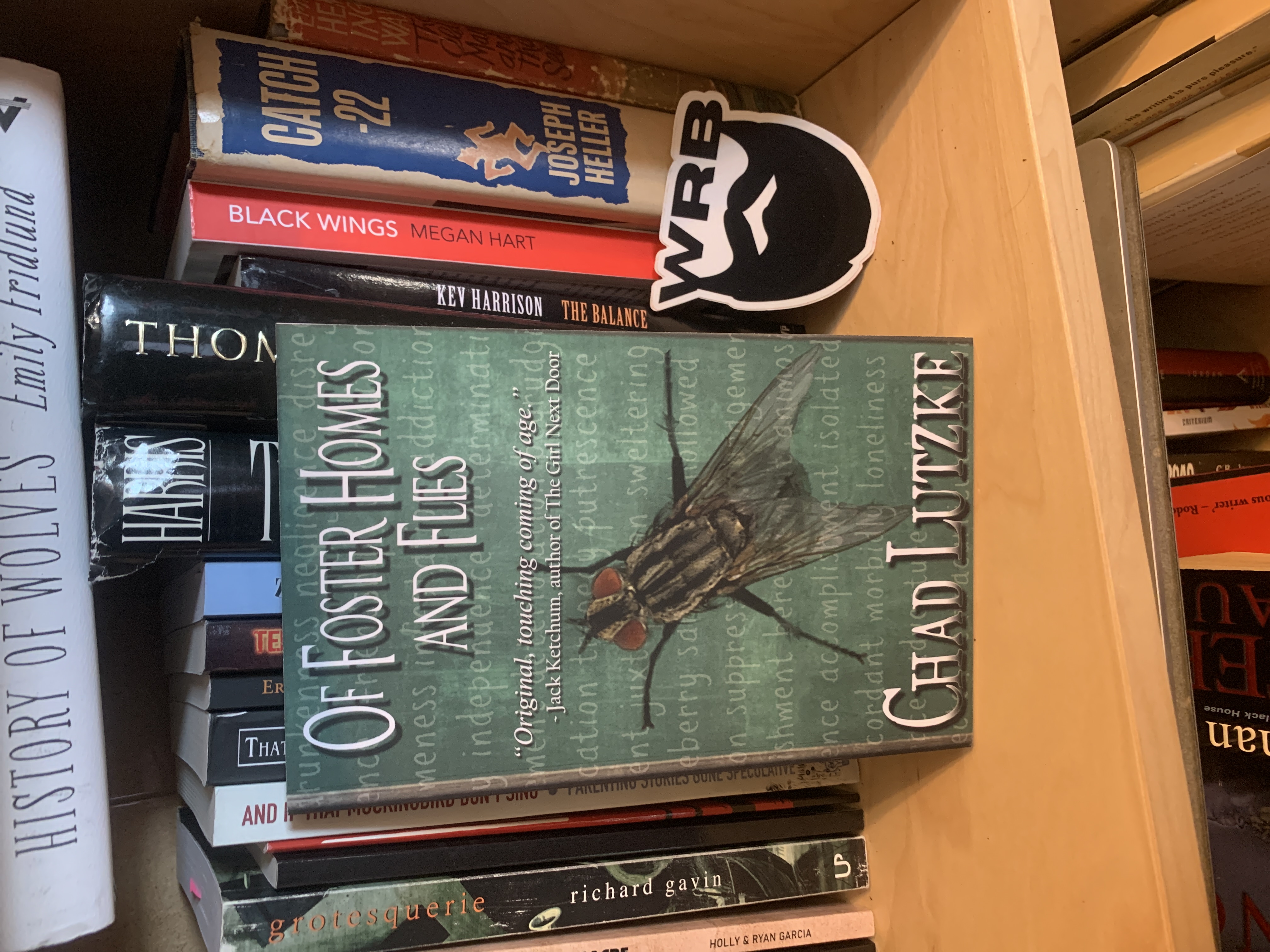 Of Foster Homes and Flies