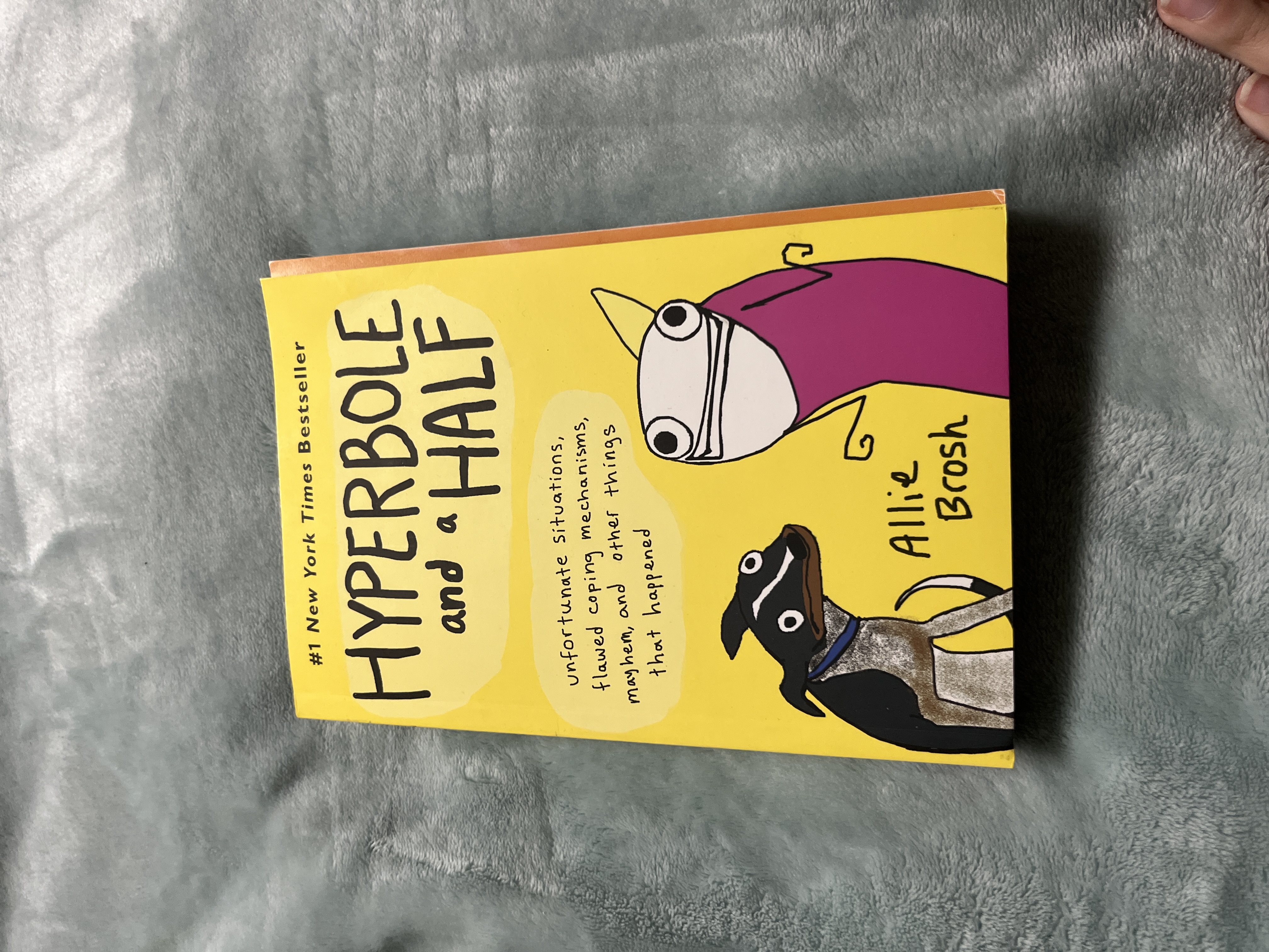 Hyperbole and a Half