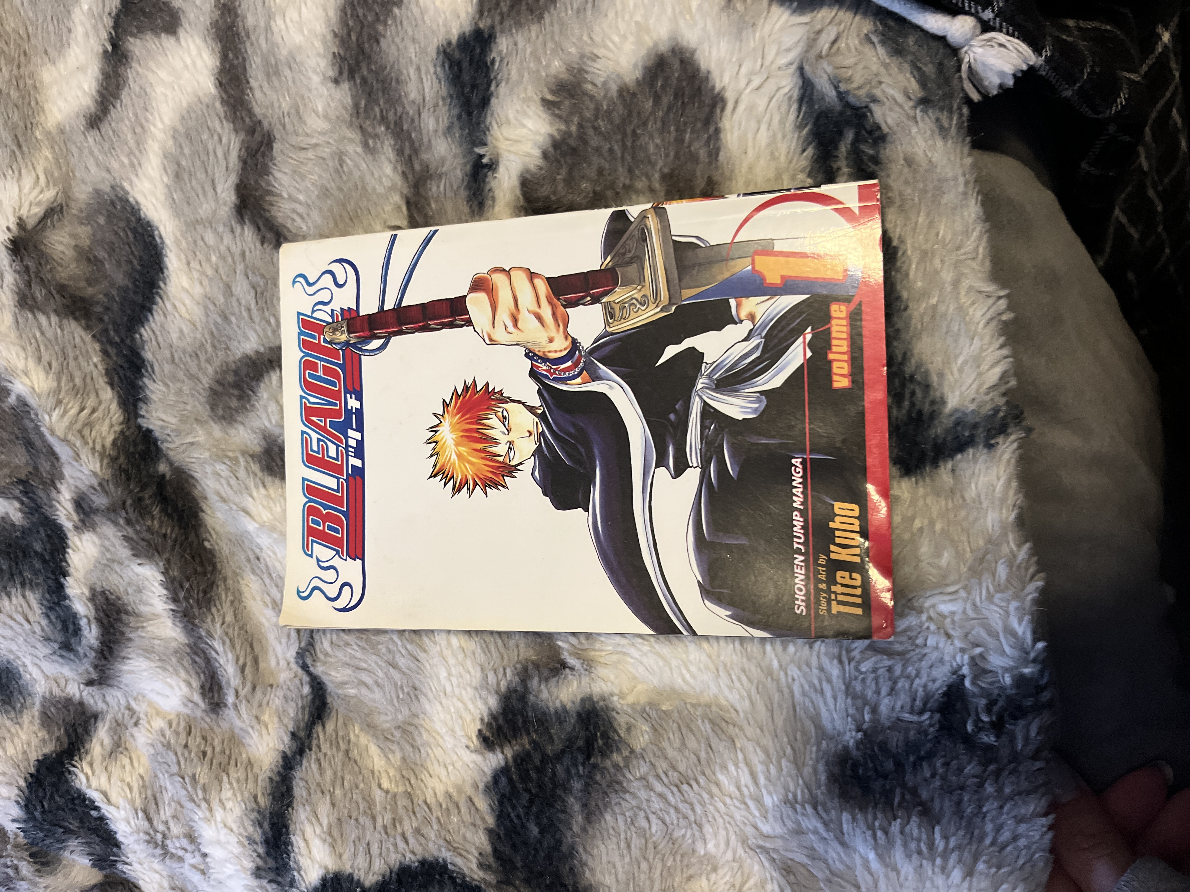 Bleach, Vol. 1