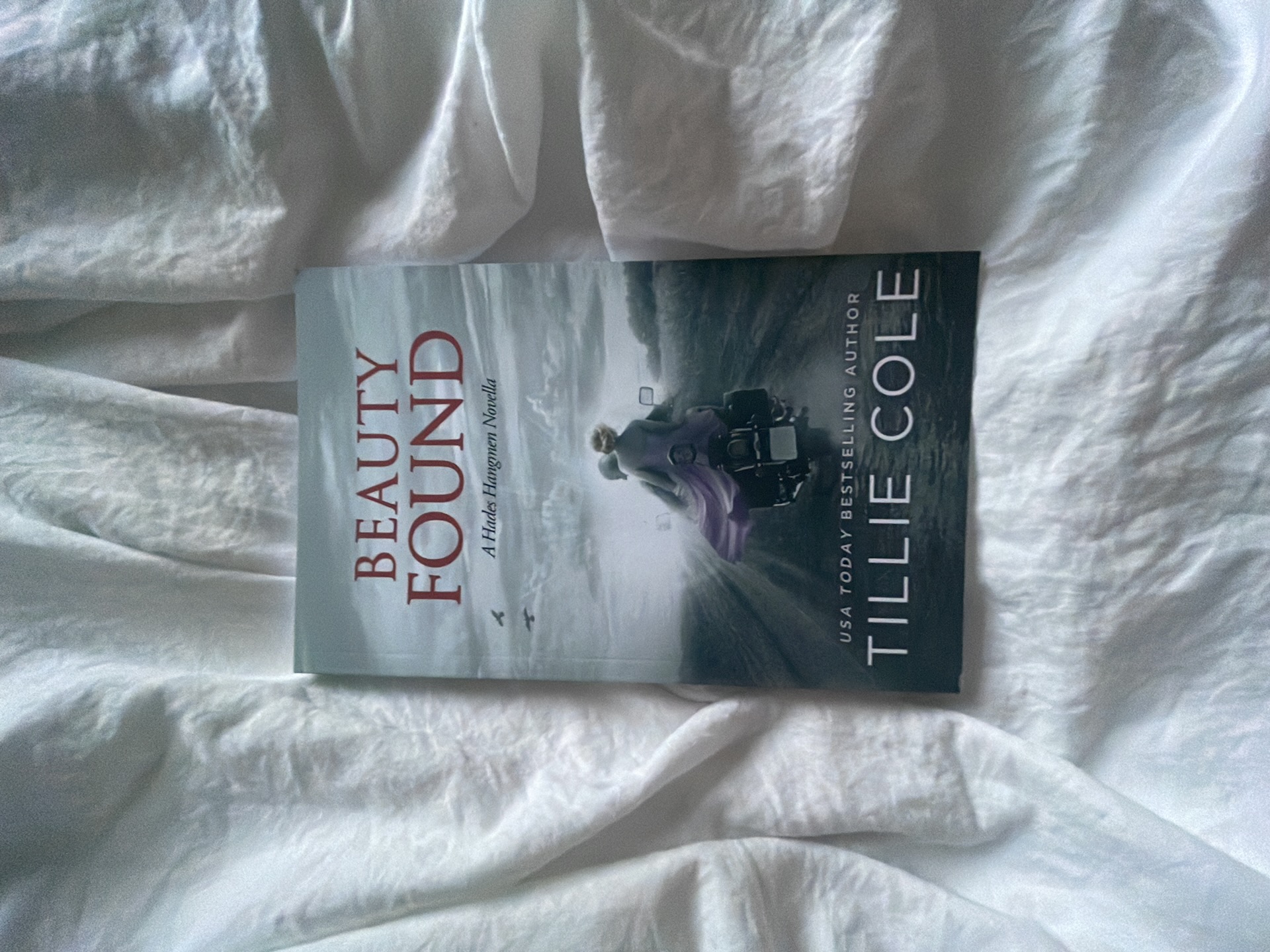 Beauty Found: a Novella (Hades Hangmen 6. 5)