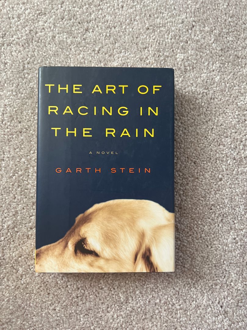 The Art of Racing in the Rain