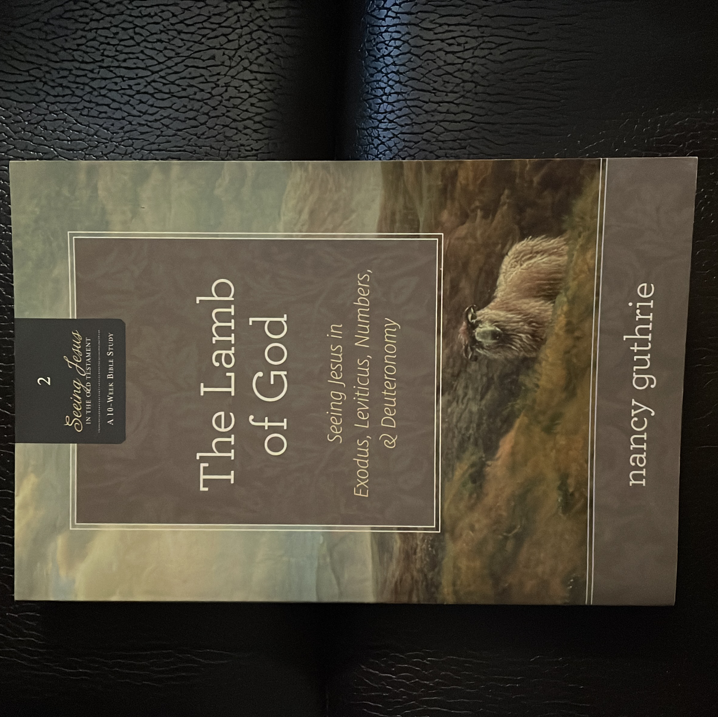 The Lamb of God